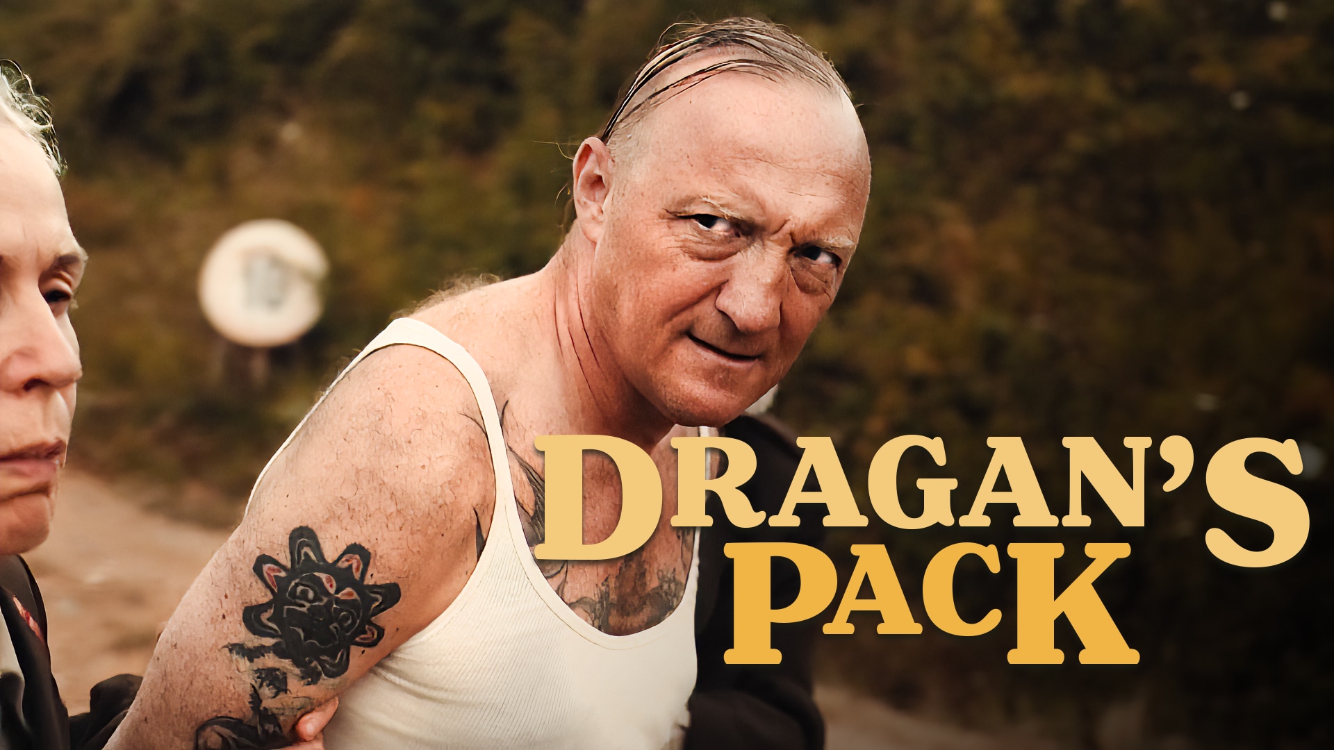 Dragan's Pack