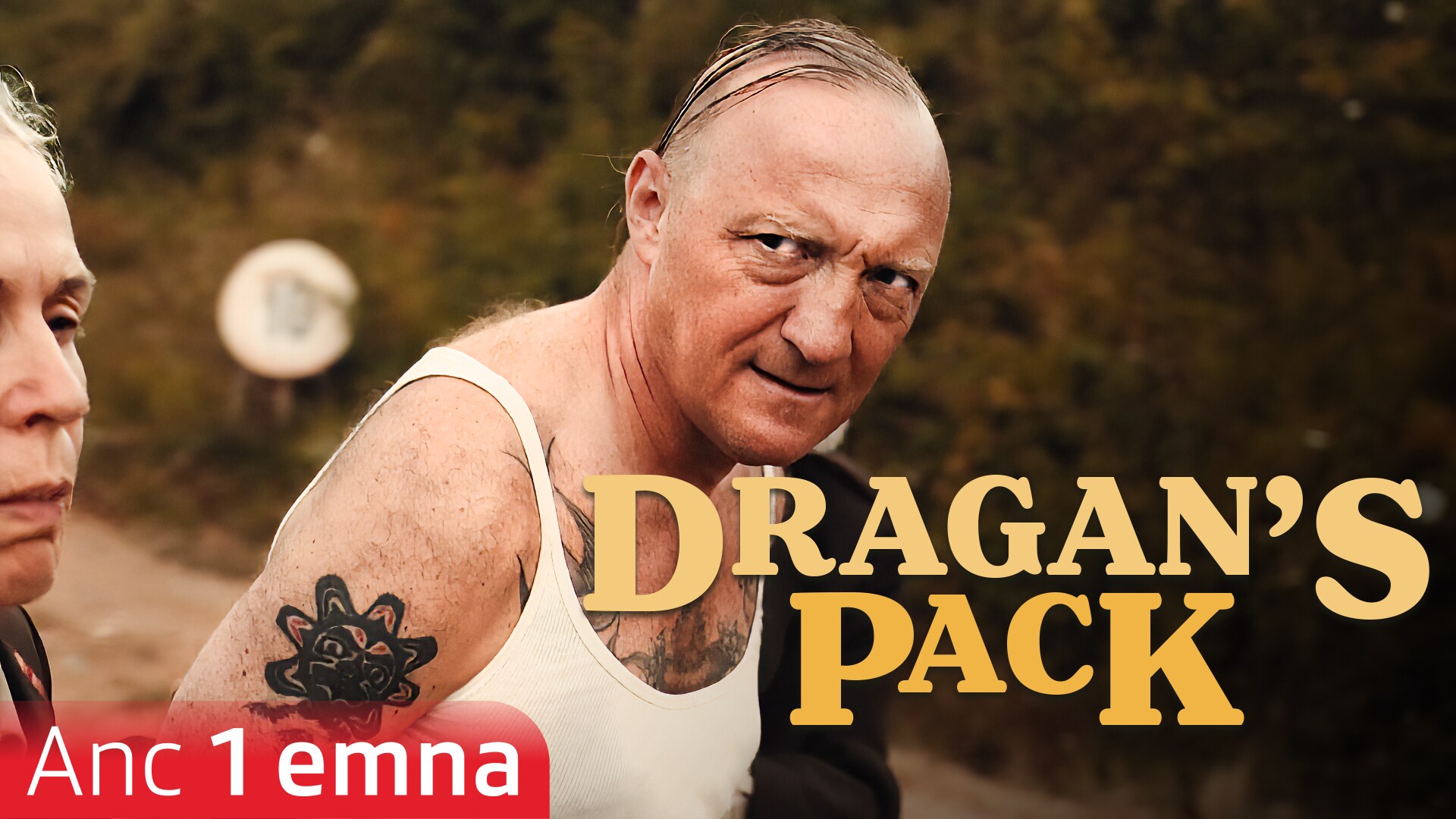 Dragan's Pack