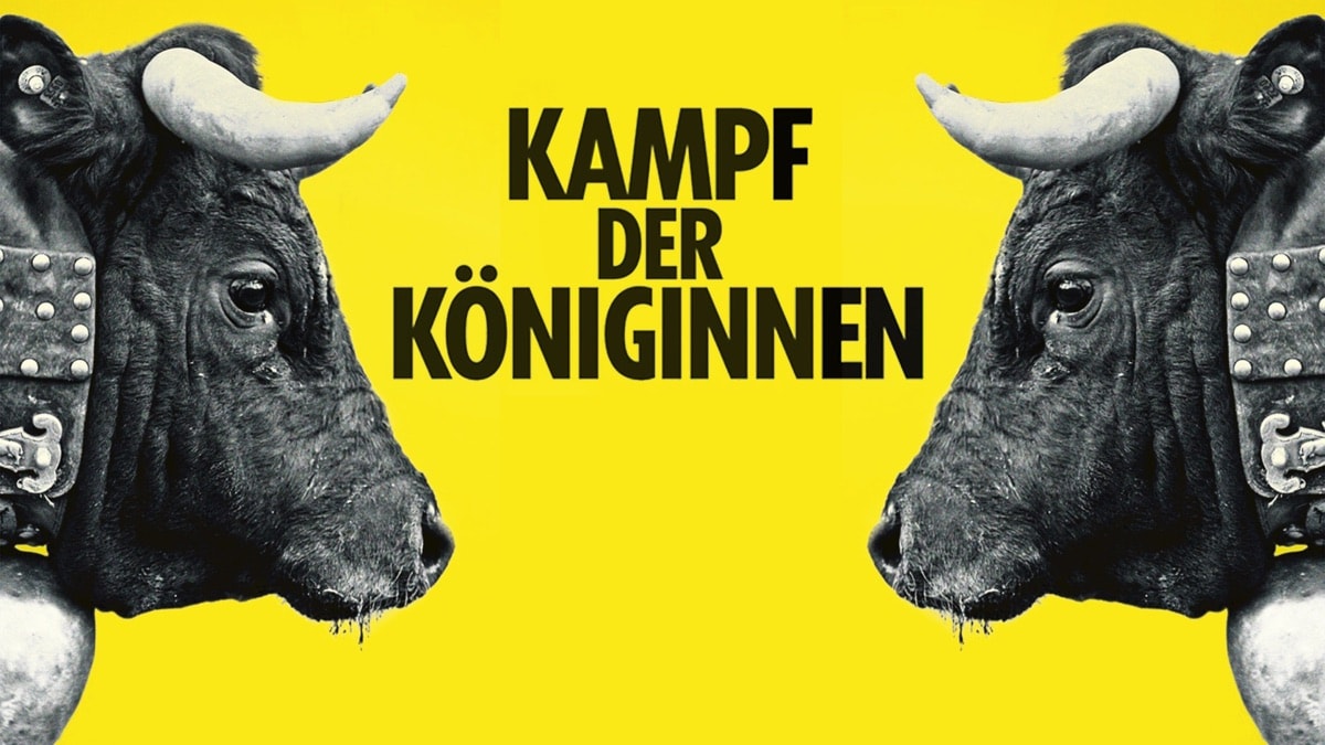 Kampf der Königinnen