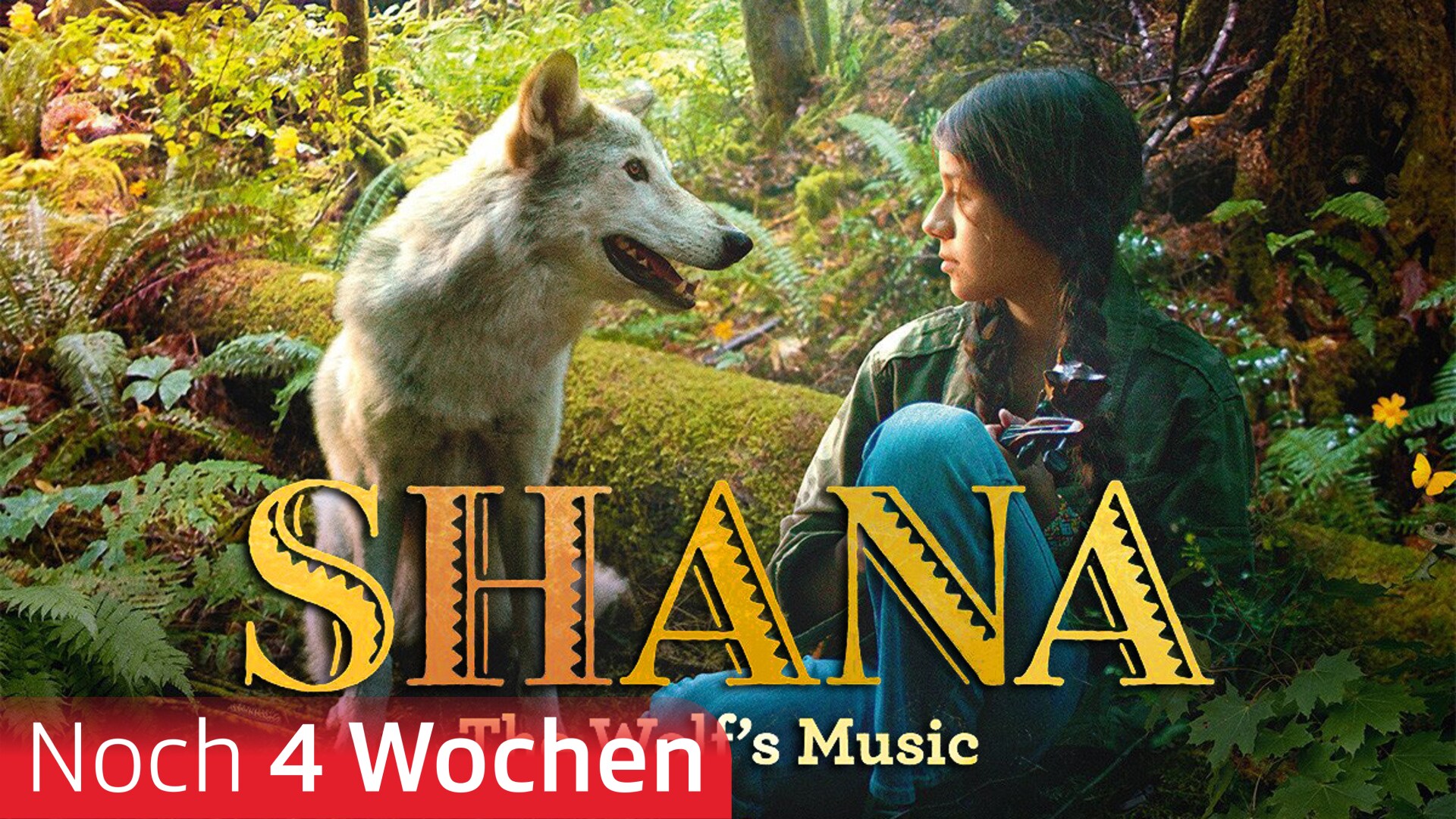 Shana - The Wolf's Music