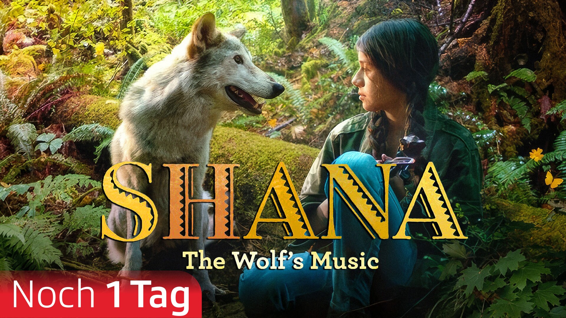 Shana - The Wolf's Music