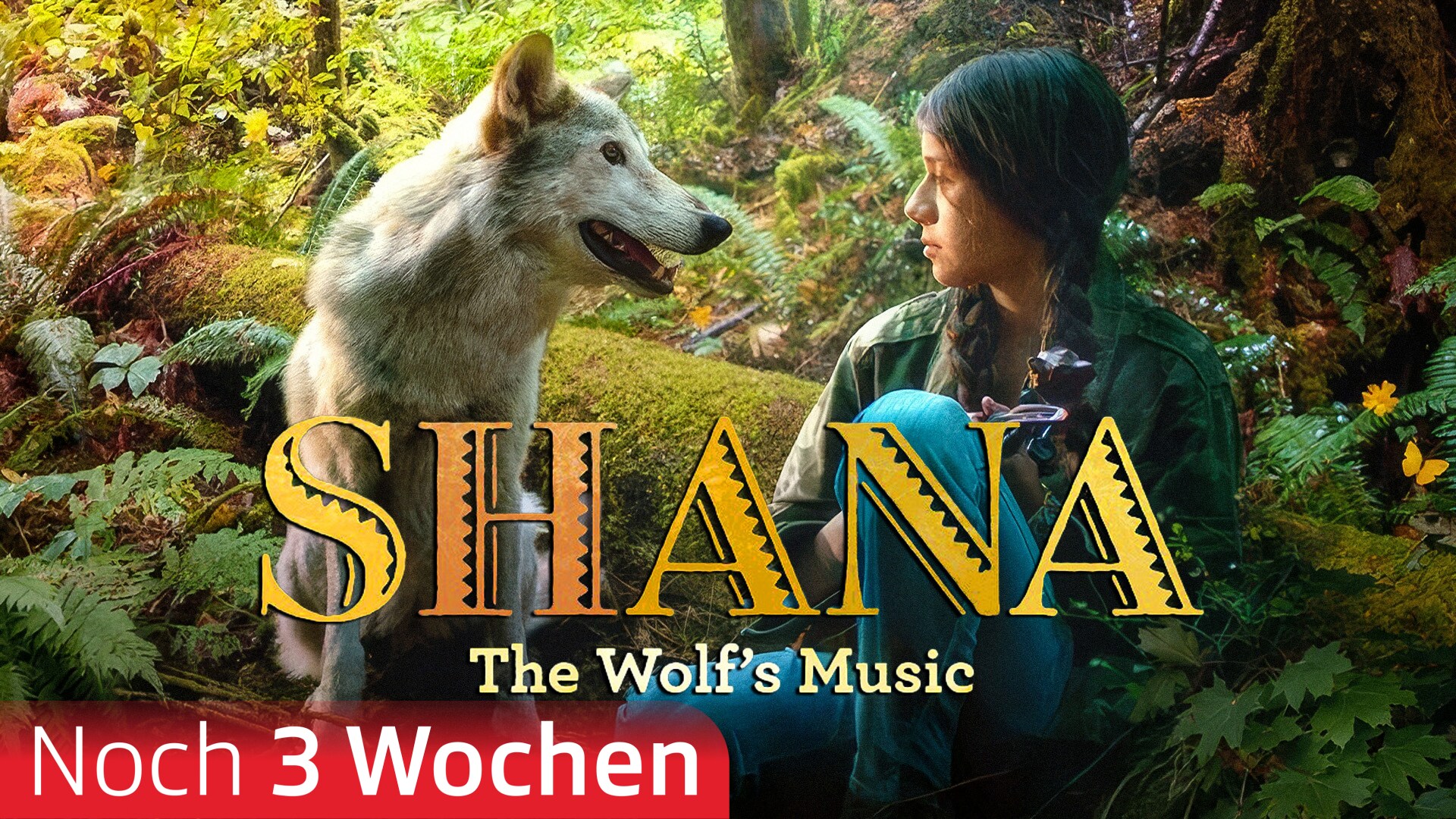 Shana - The Wolf's Music