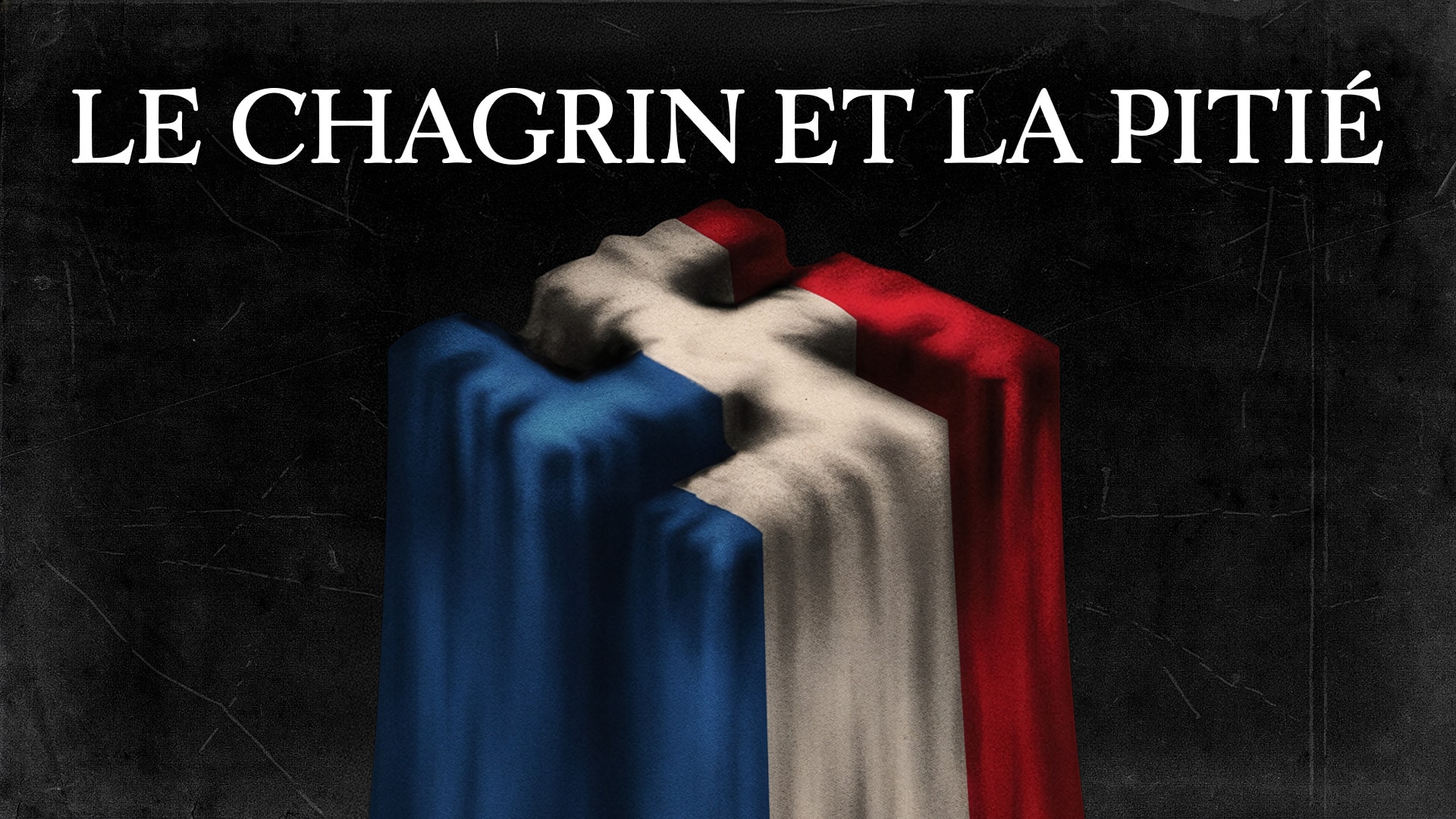 Le chagrin et la pitié