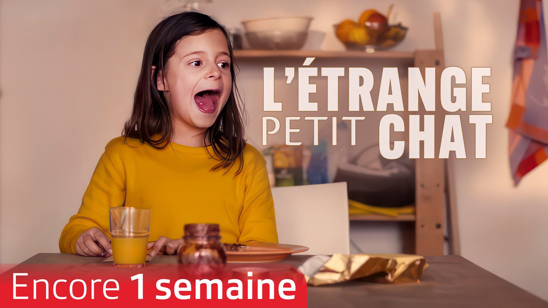 L'étrange petit chat