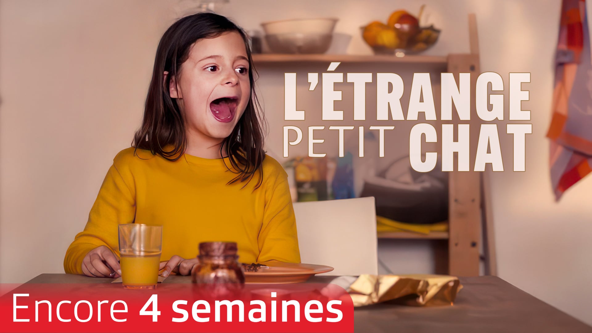 L'étrange petit chat