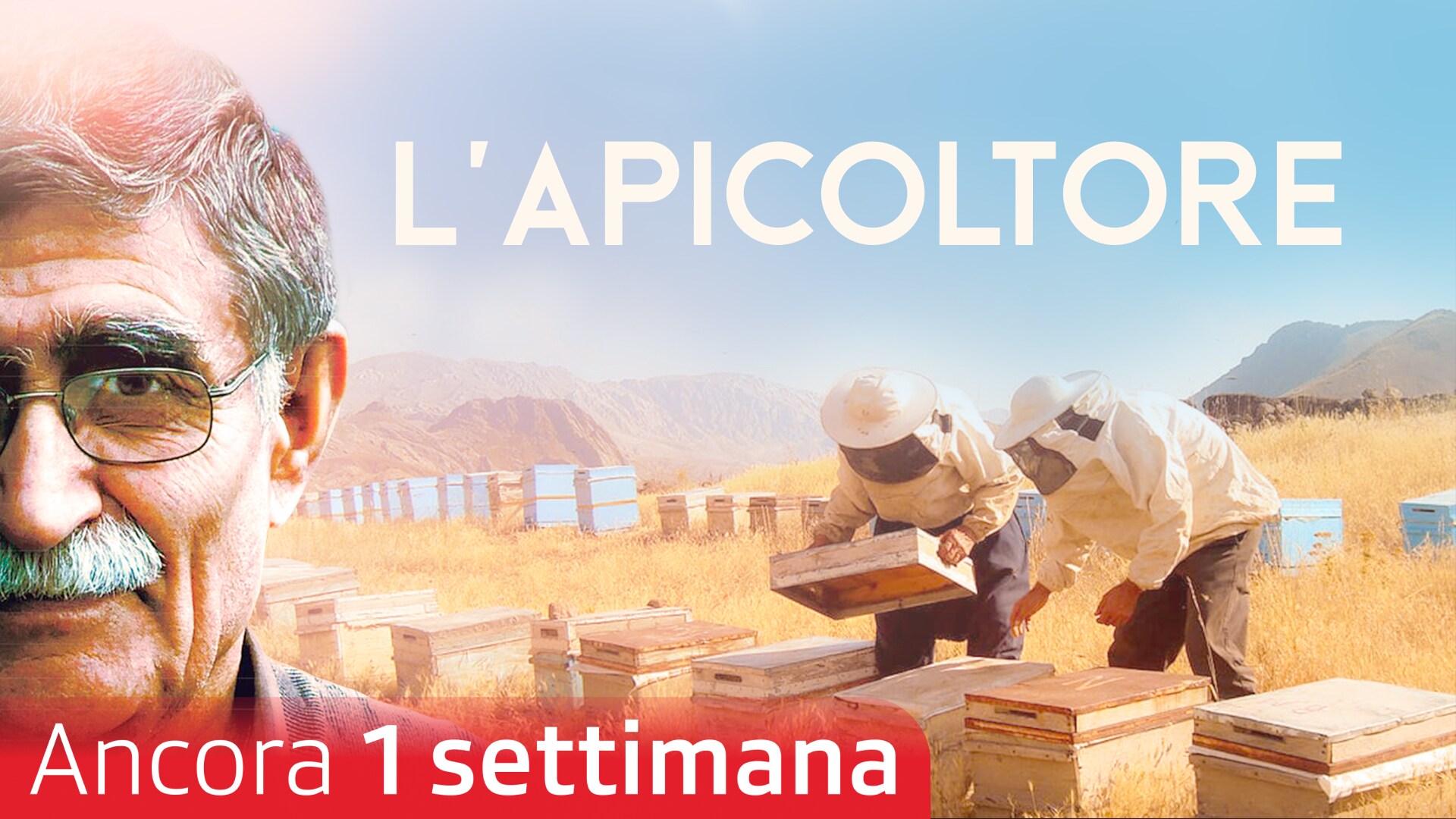 L'apicoltore