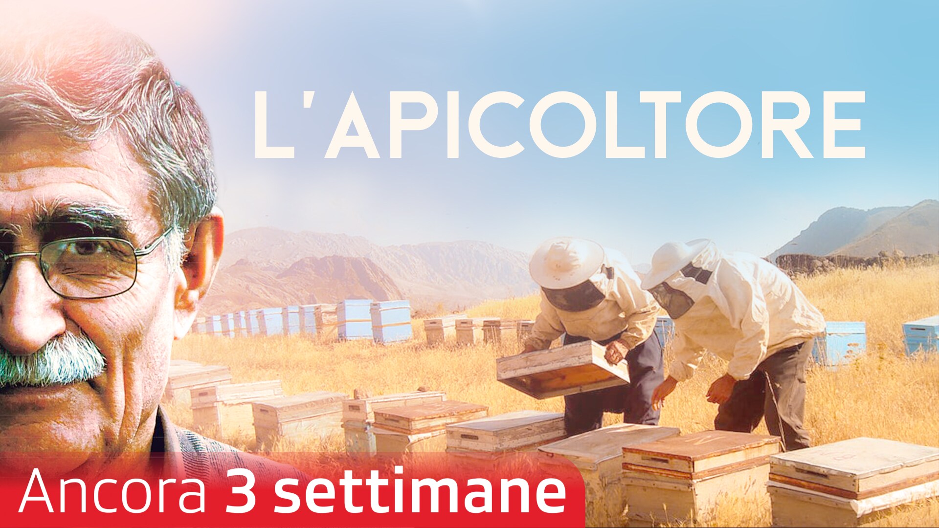 L'apicoltore