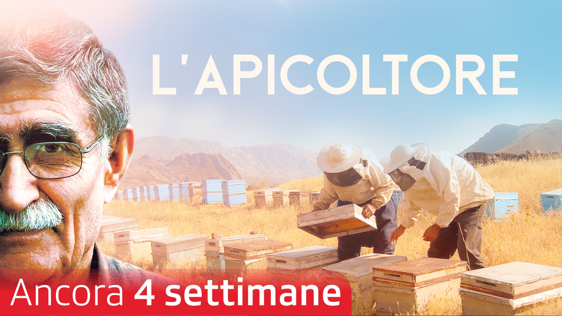 L'apicoltore