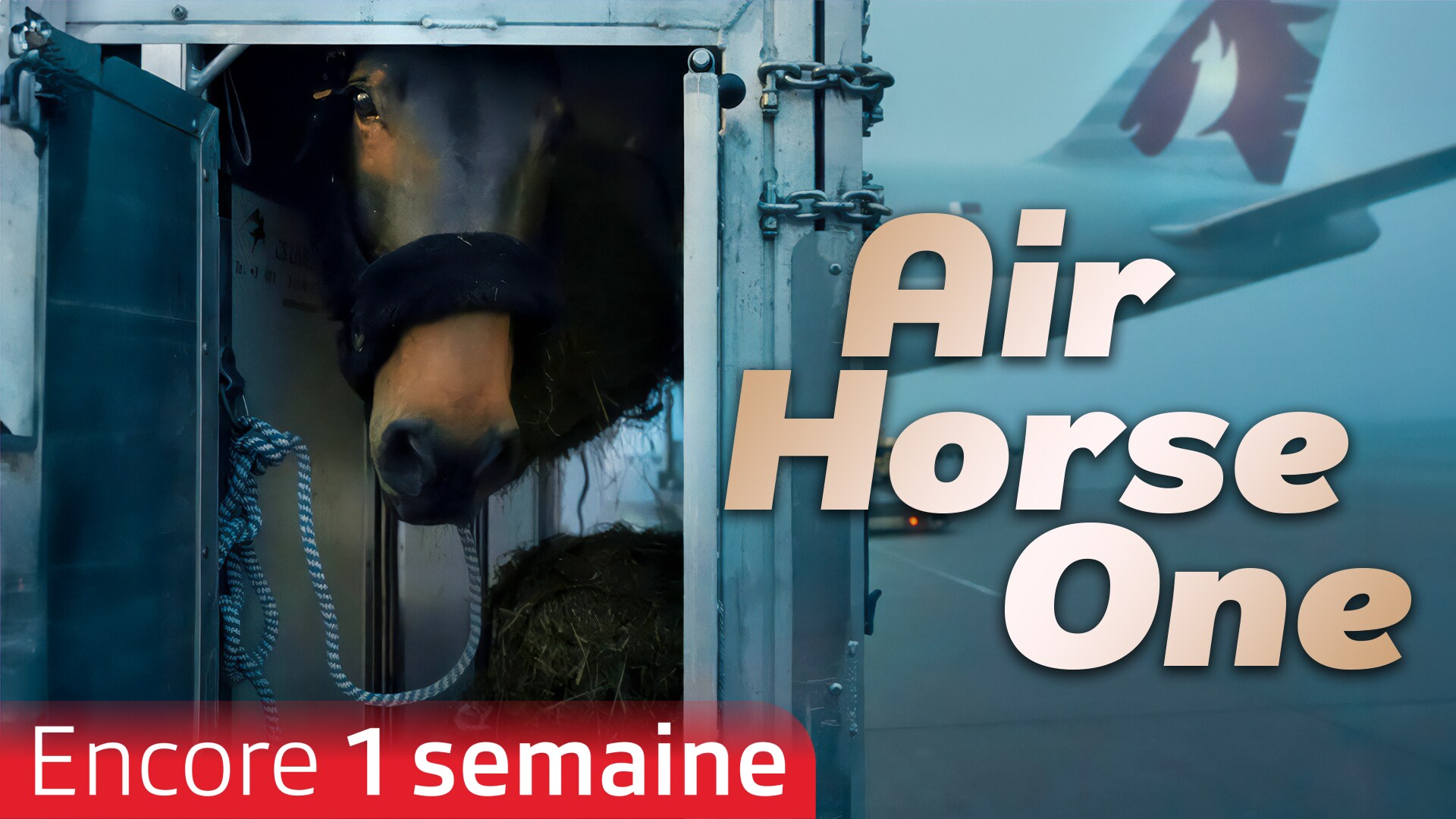 Air Horse One