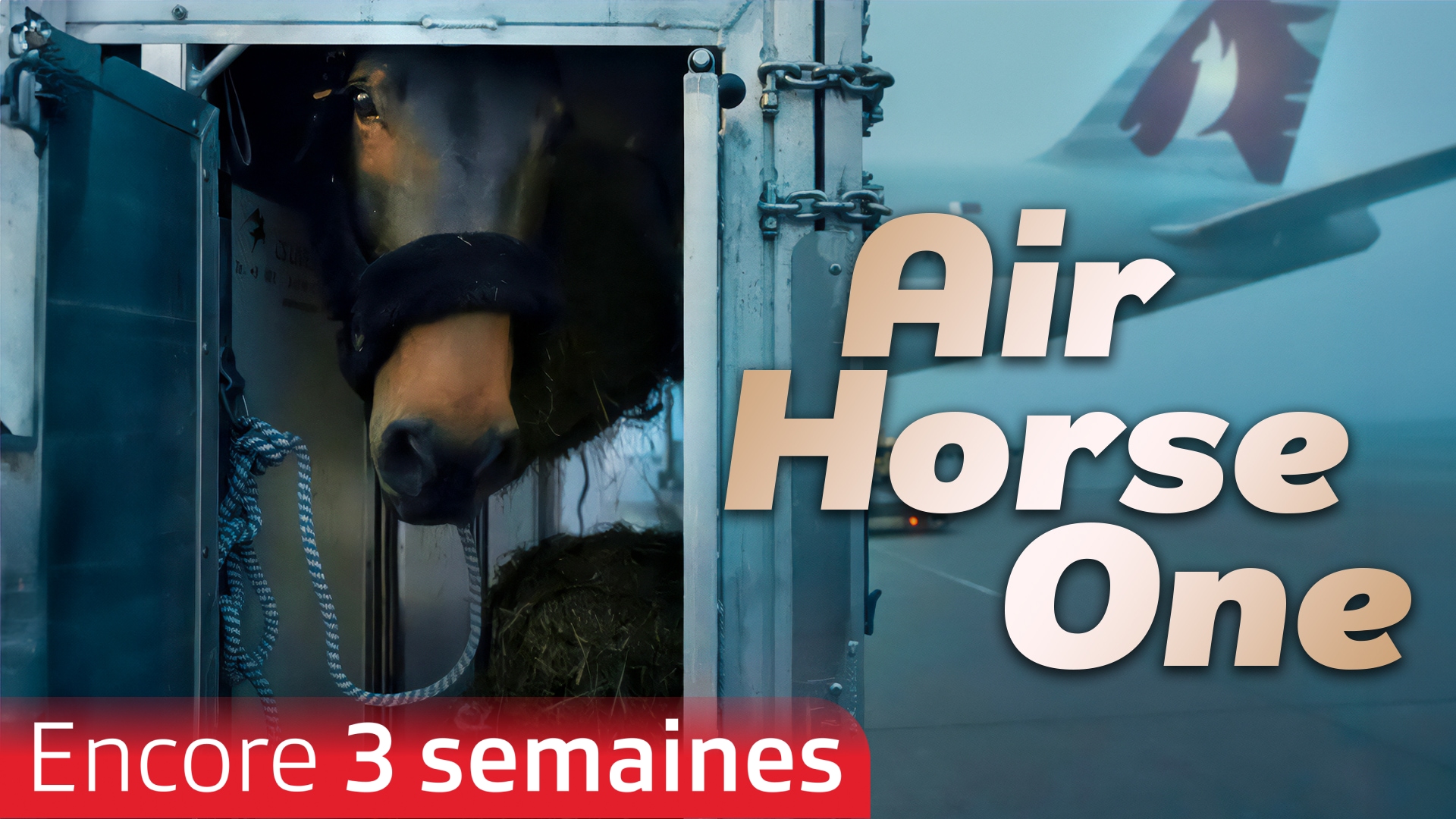 Air Horse One