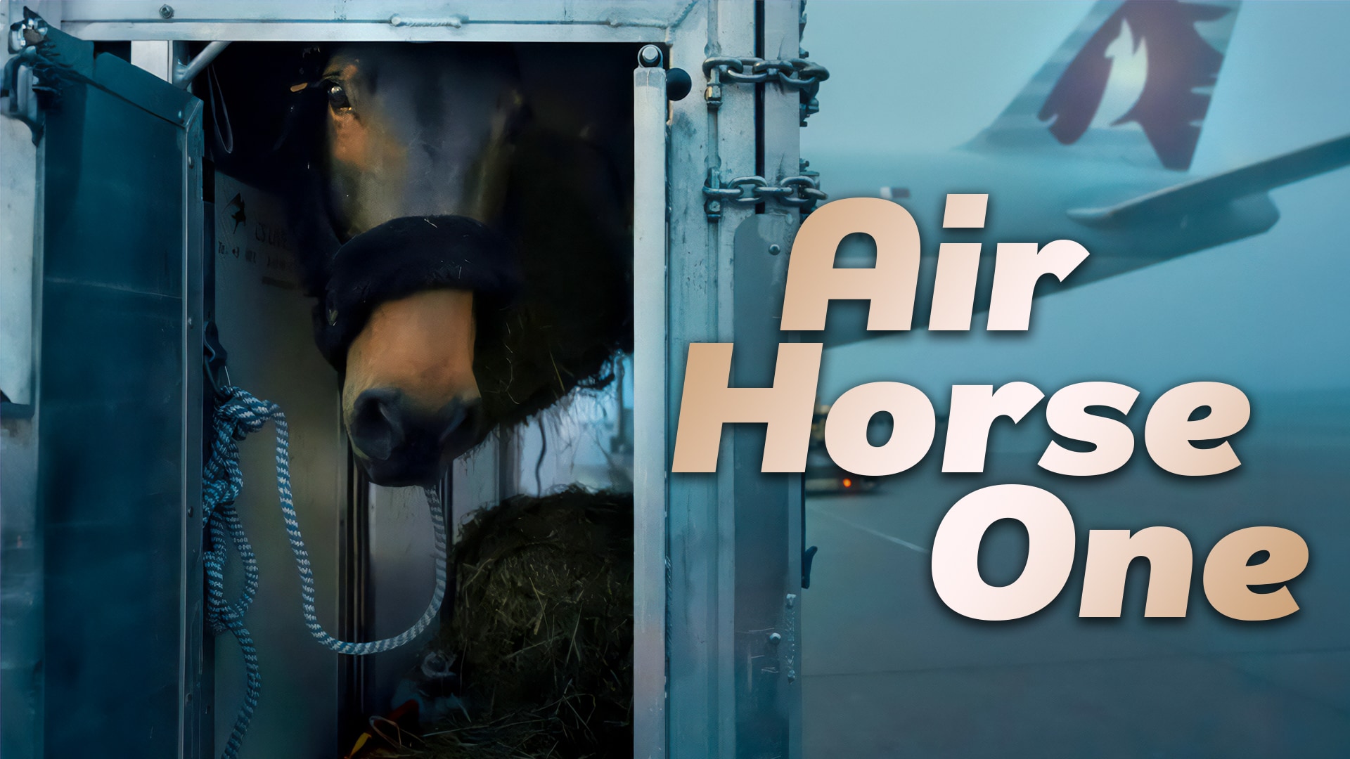 Air Horse One