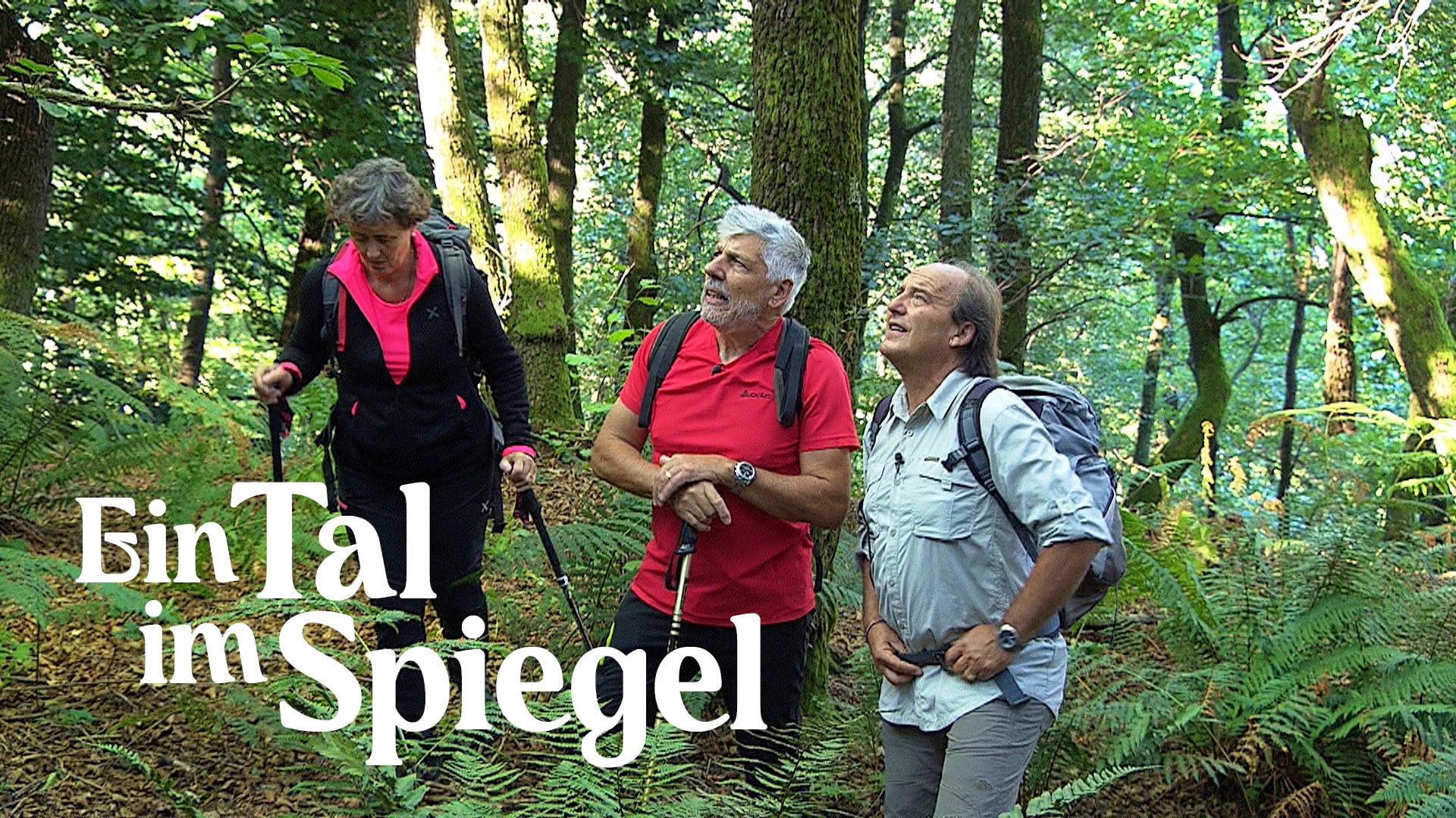 Ein Tal im Spiegel