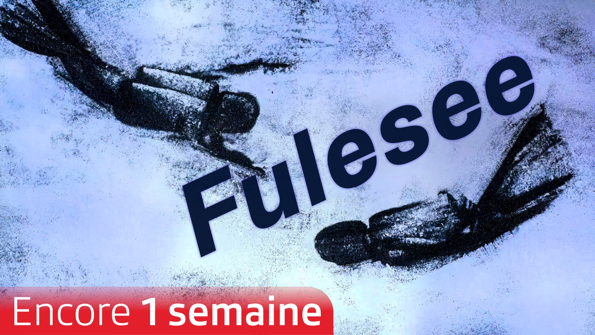 Fulesee