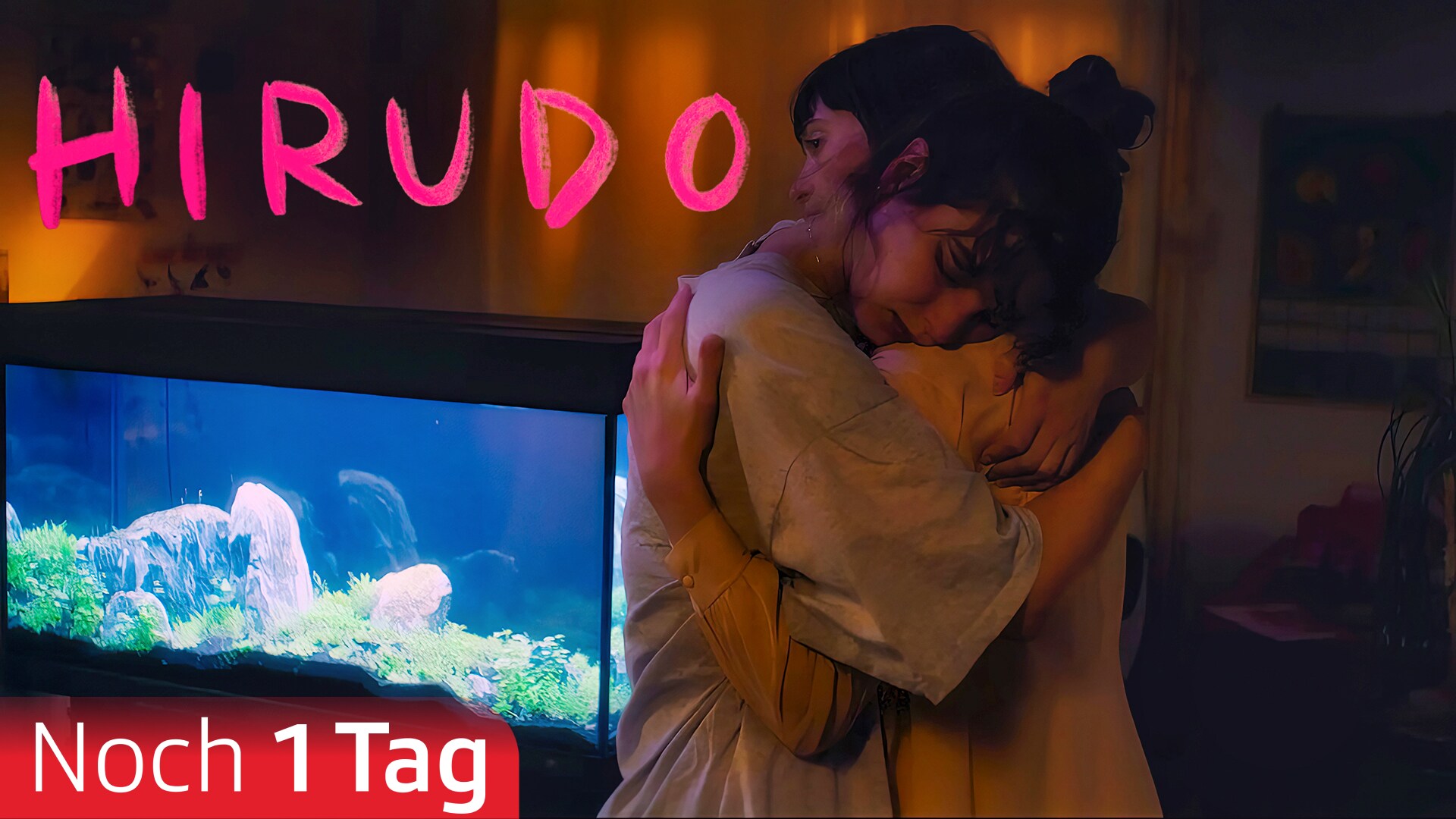 Hirudo