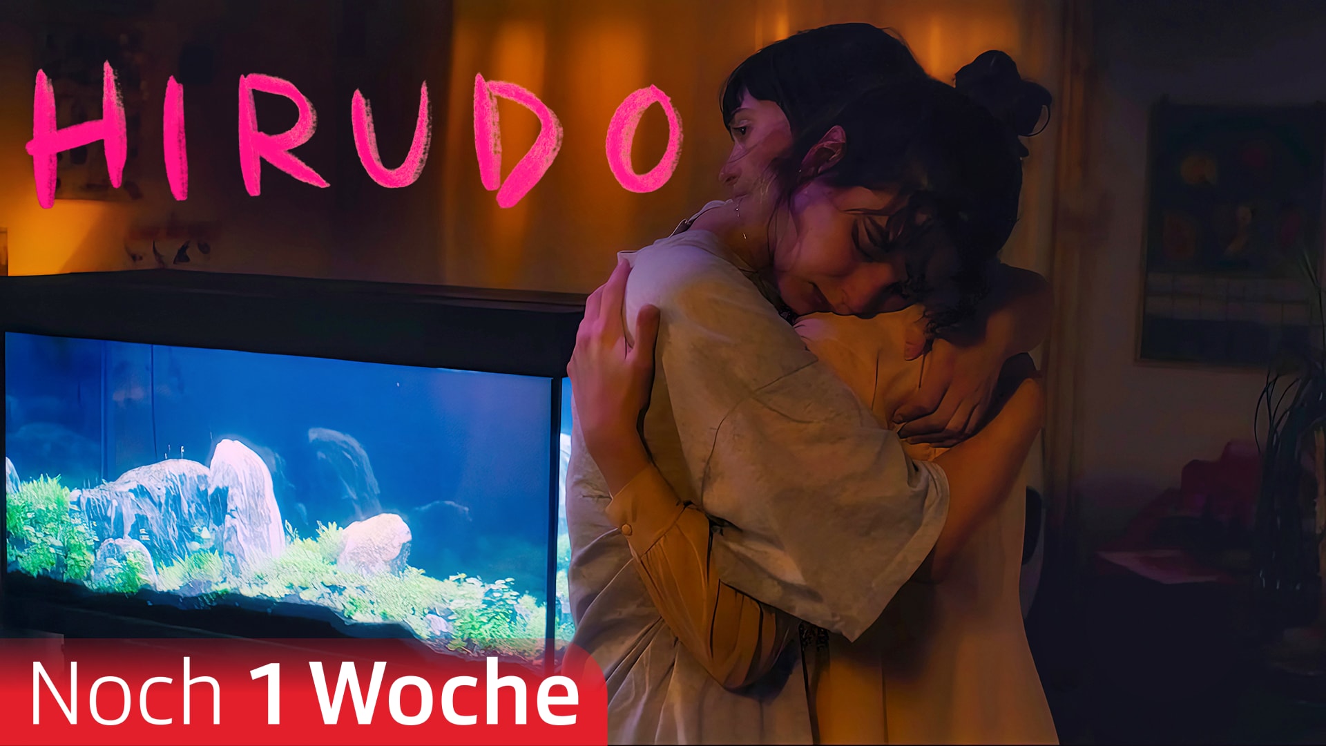 Hirudo