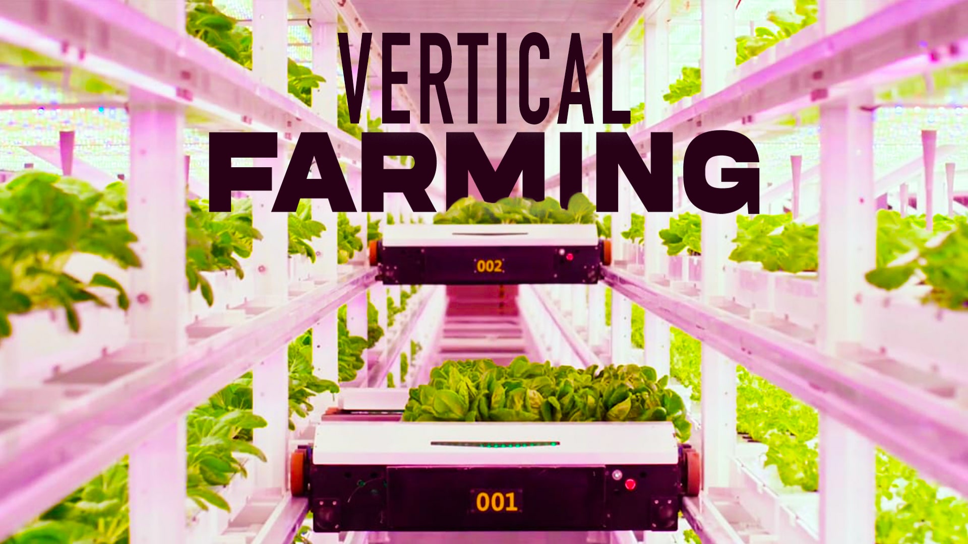 Vertical Farming 