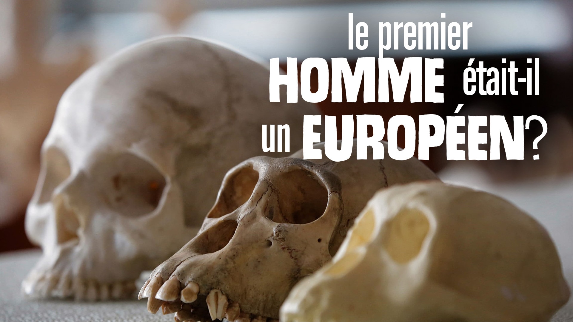 Le premier homme était-il un Européen ?