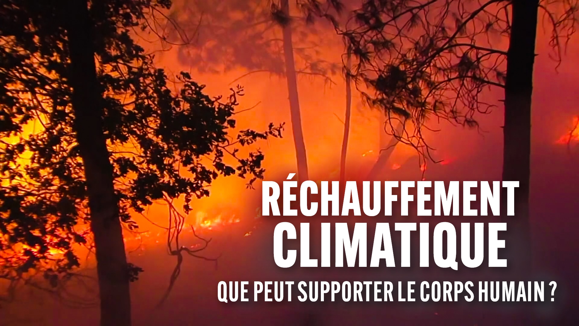 Réchauffement climatique : que peut supporter le corps humain ?