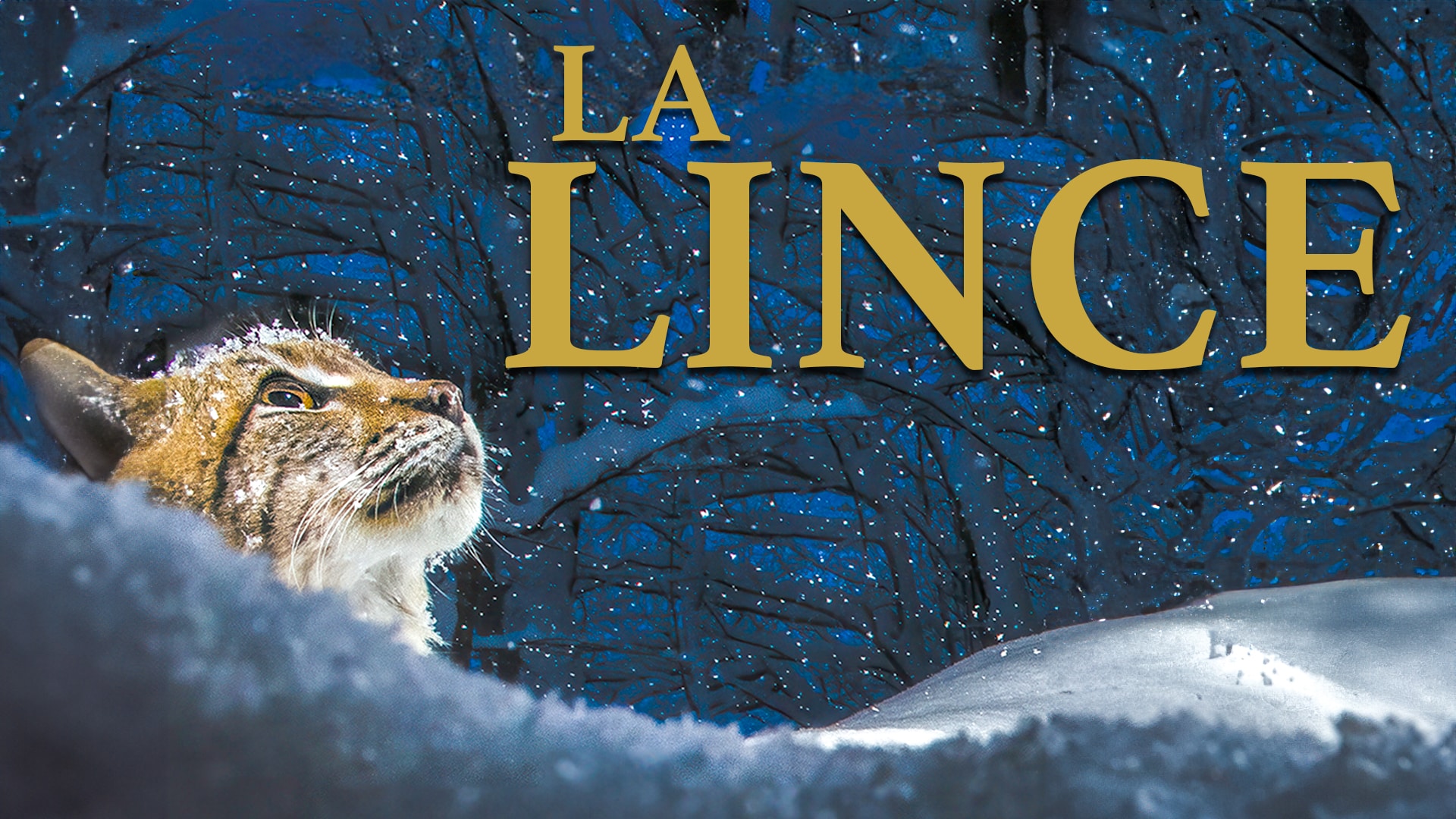 La lince