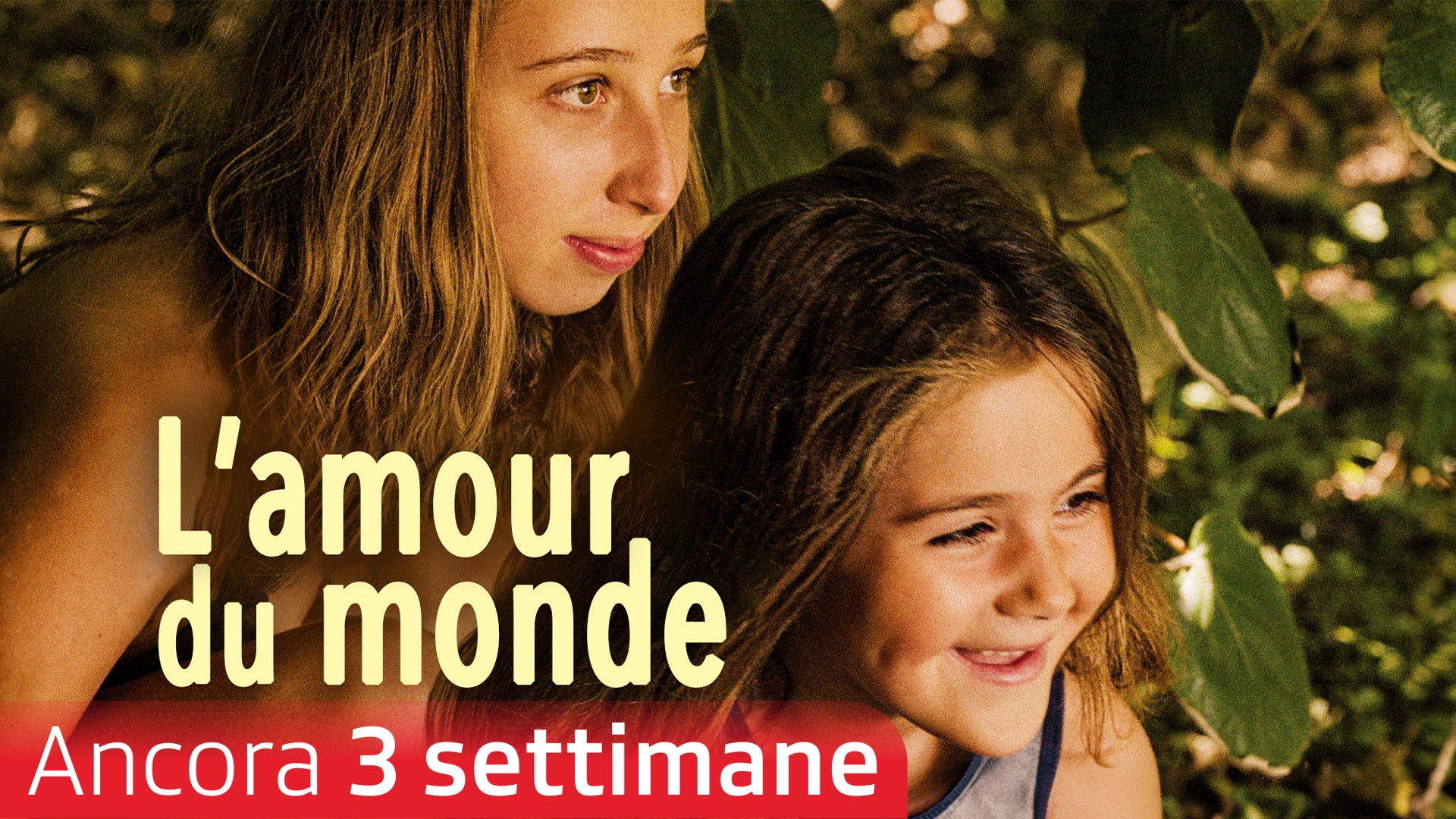 L'amour du monde