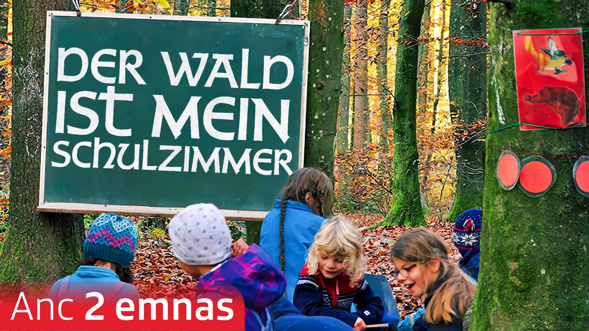 Der Wald ist mein Schulzimmer