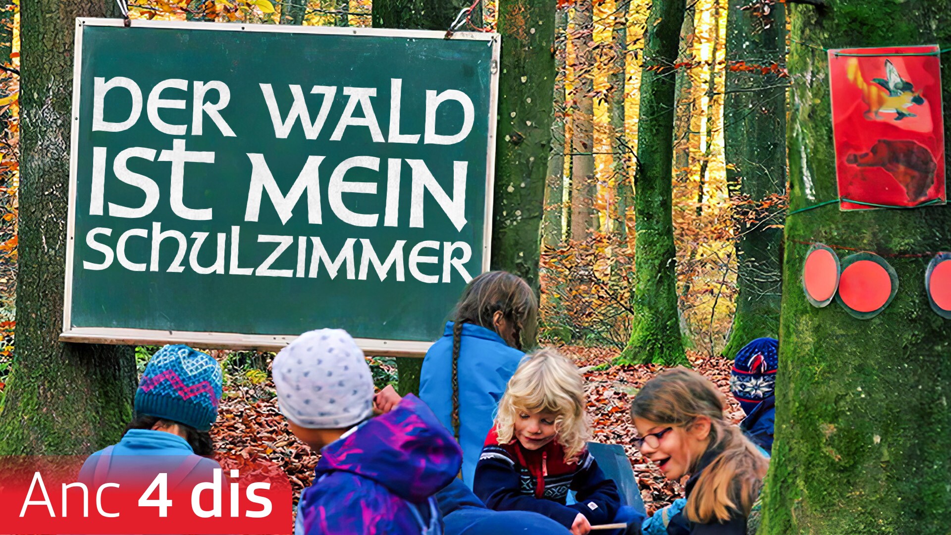 Der Wald ist mein Schulzimmer