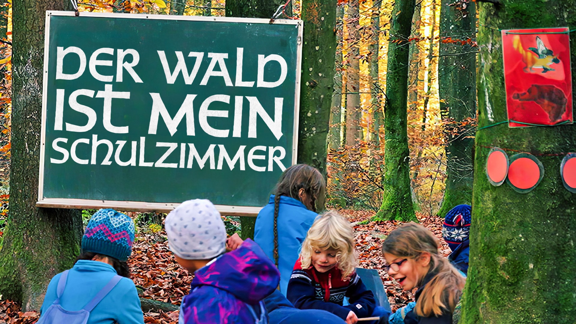 Der Wald ist mein Schulzimmer