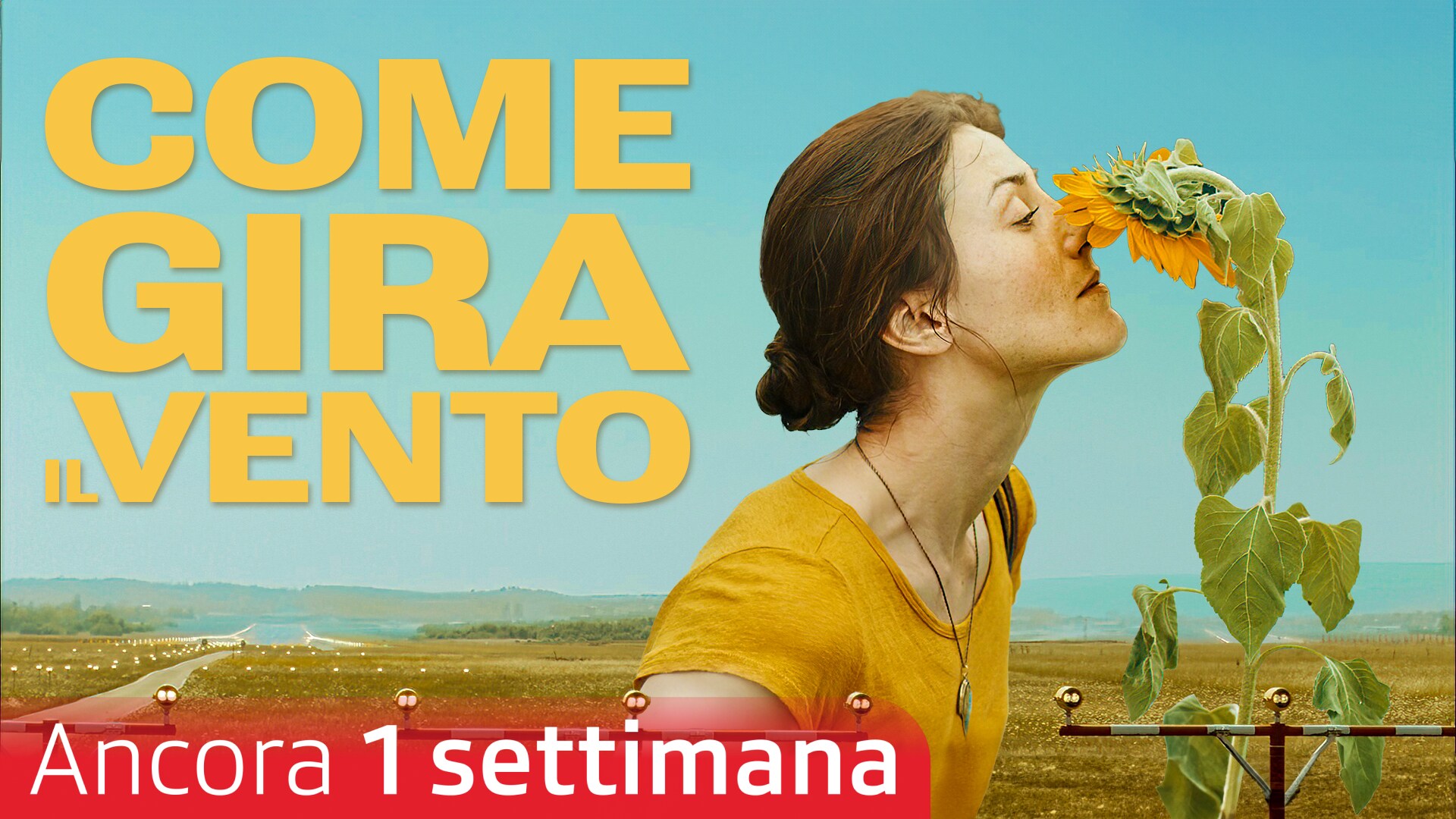 Come gira il vento