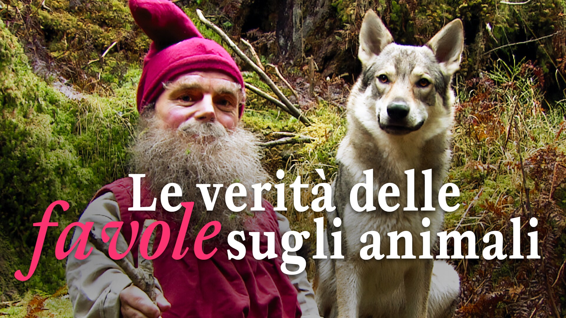 Le verità delle favole sugli animali