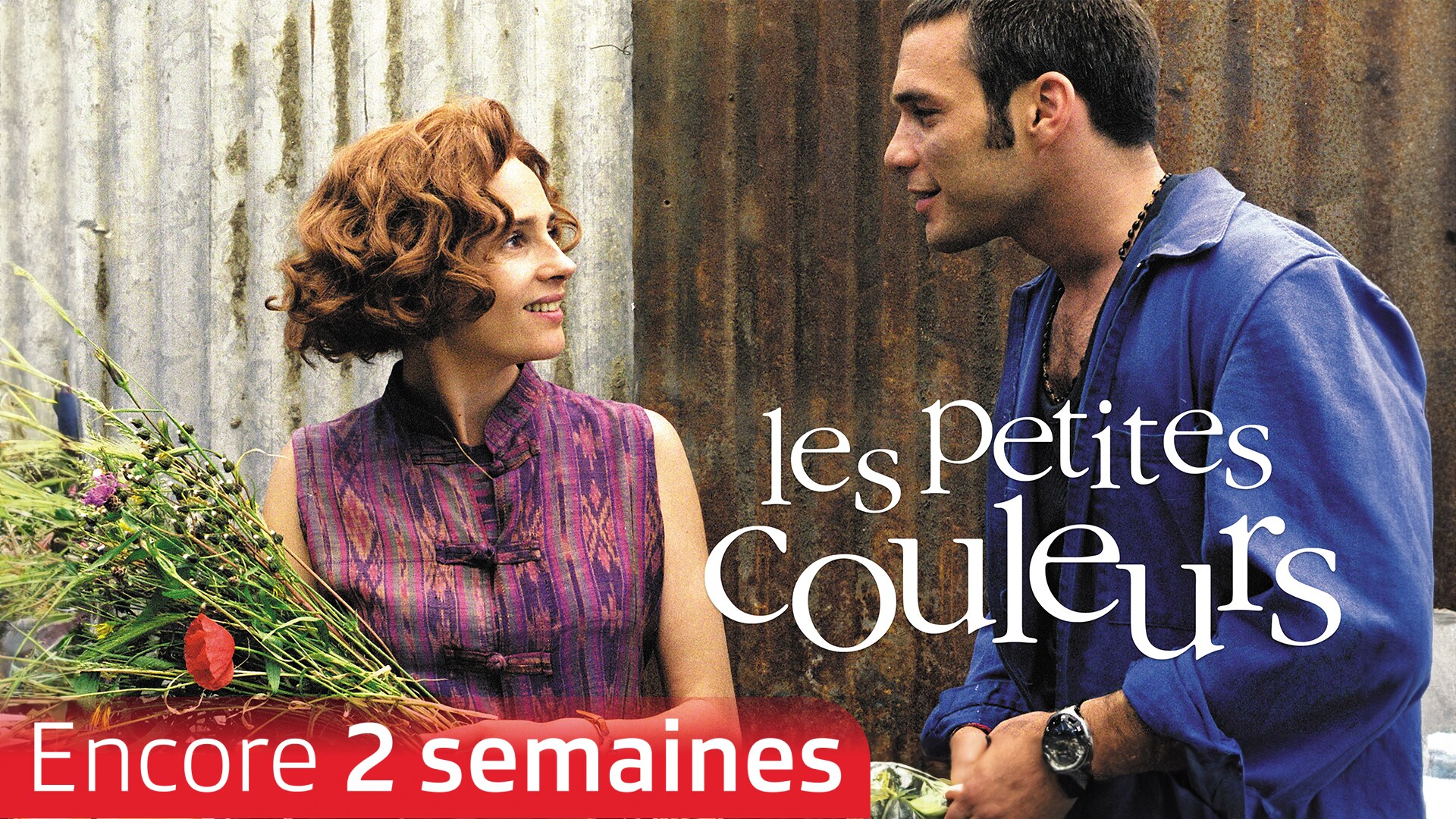 Les petites couleurs