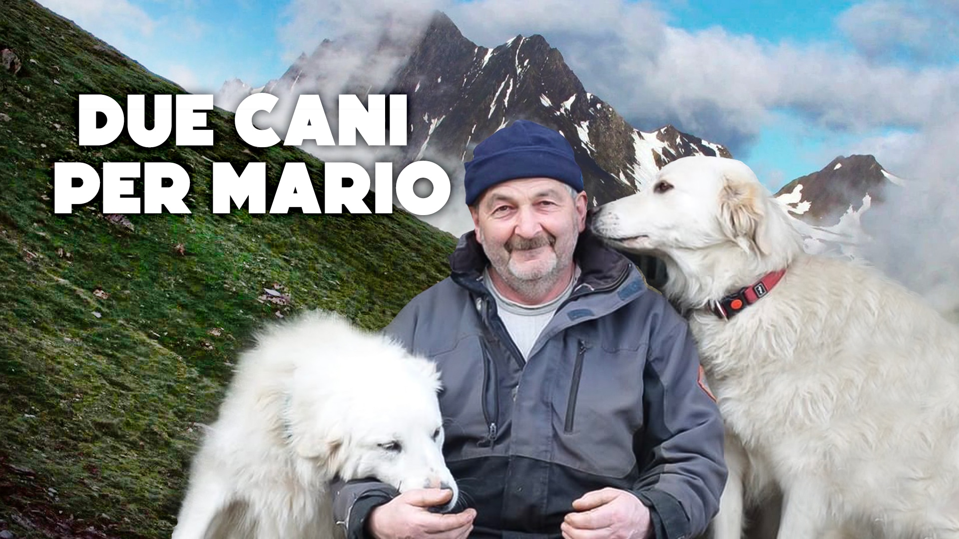 Due cani per Mario 