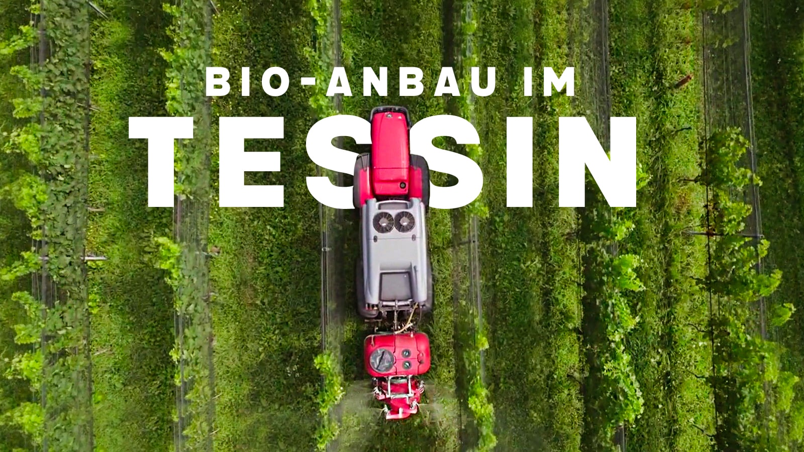 Bio-Anbau im Tessin