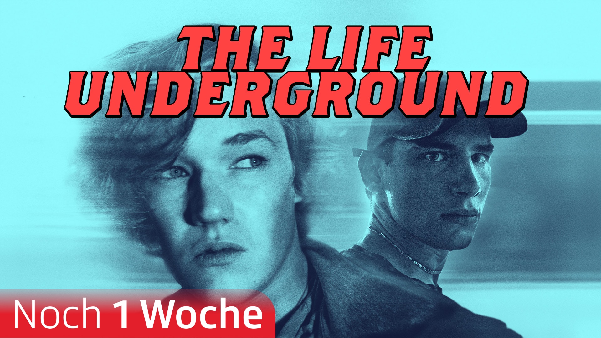 The Life Underground