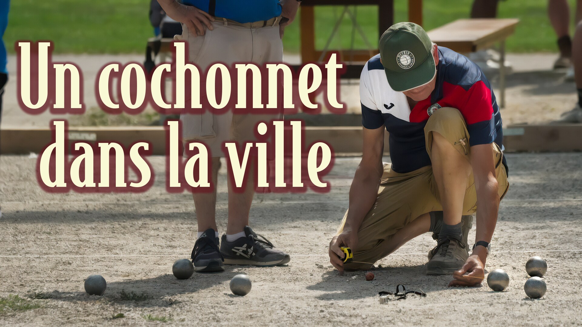Un cochonnet dans la ville