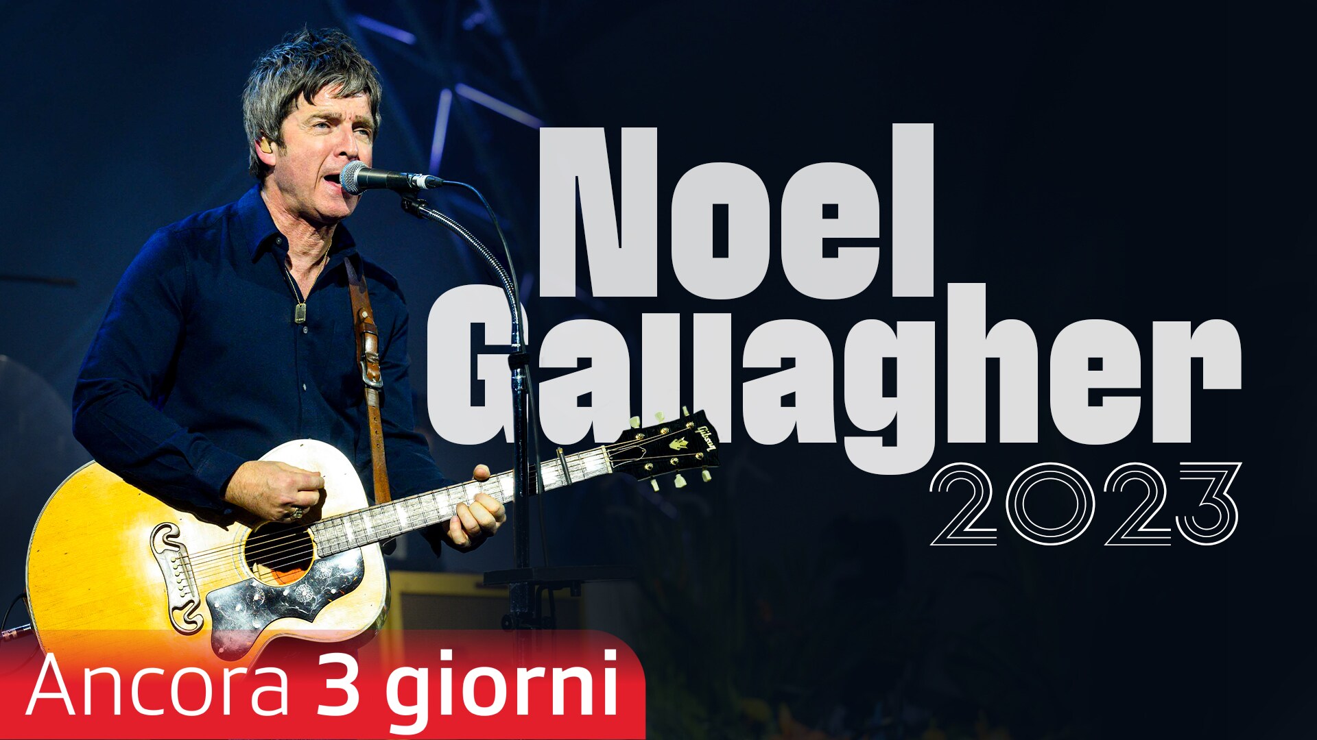 Noel Gallagher