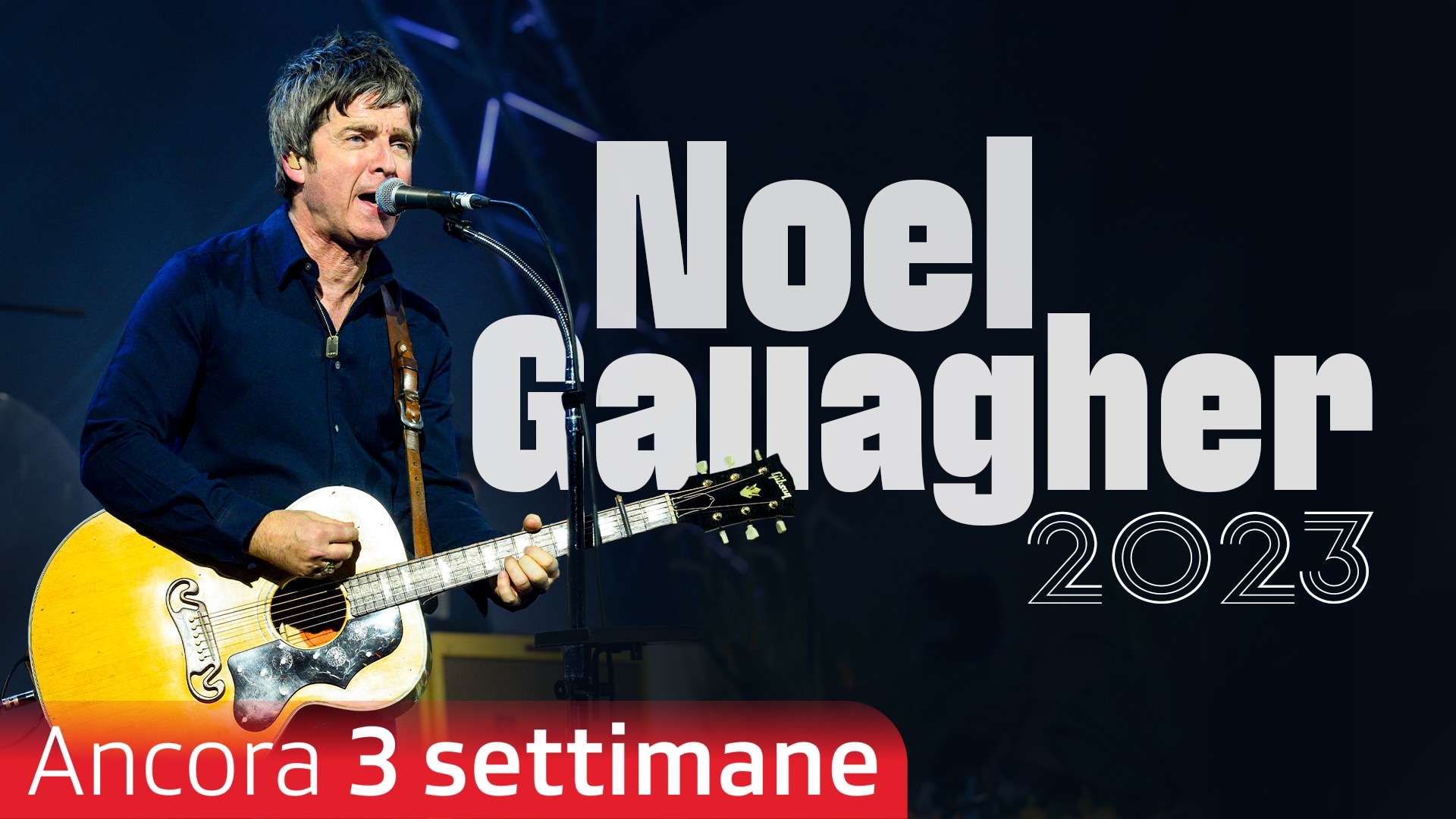 Noel Gallagher