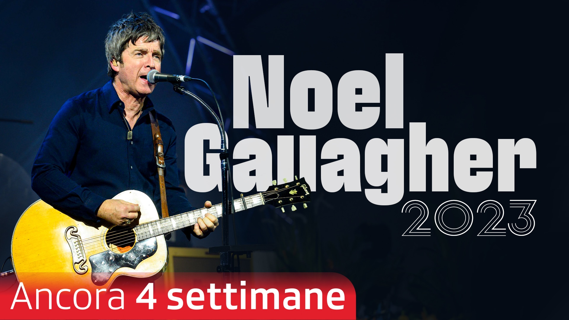 Noel Gallagher