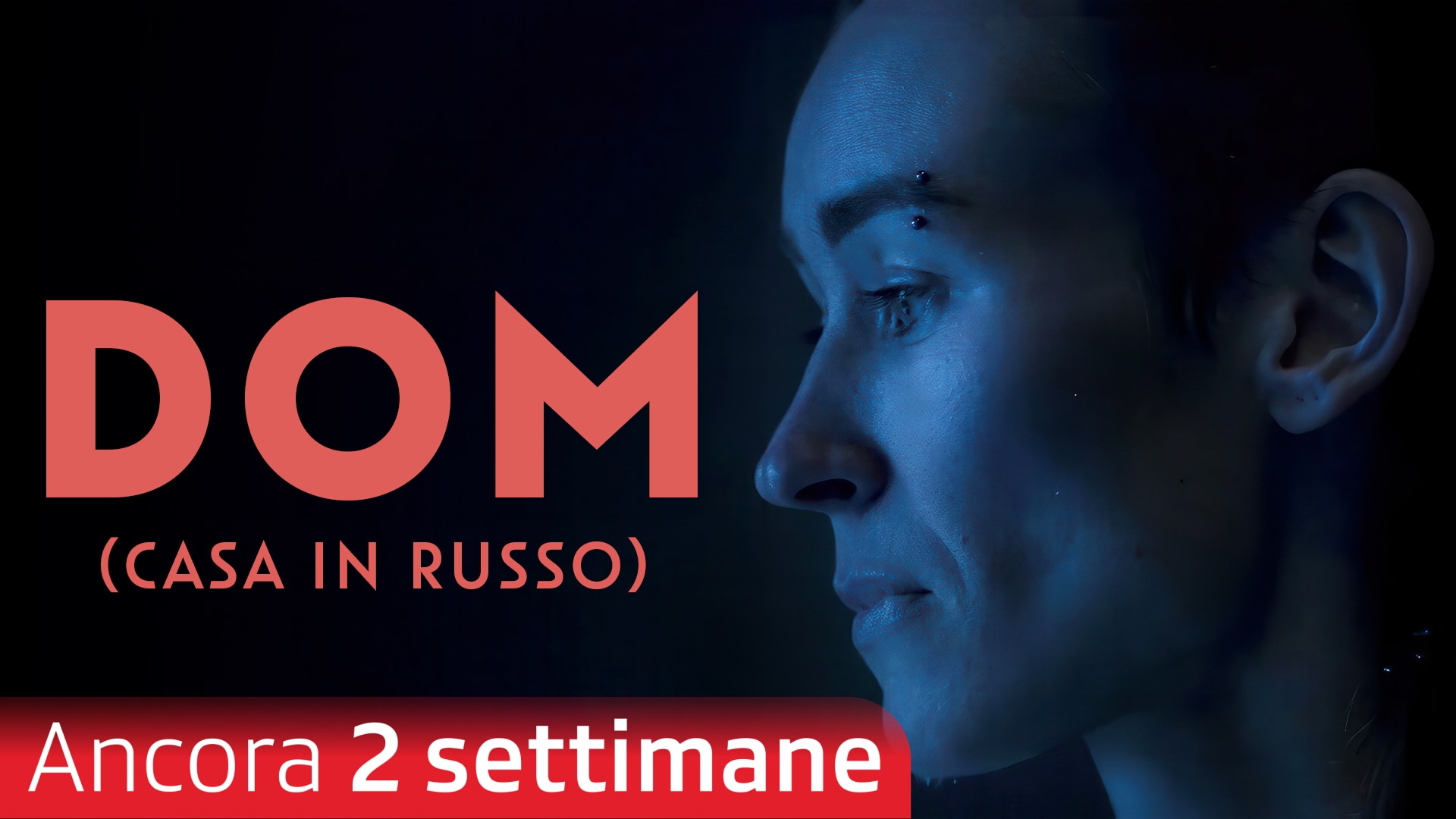 DOM (Casa in russo)