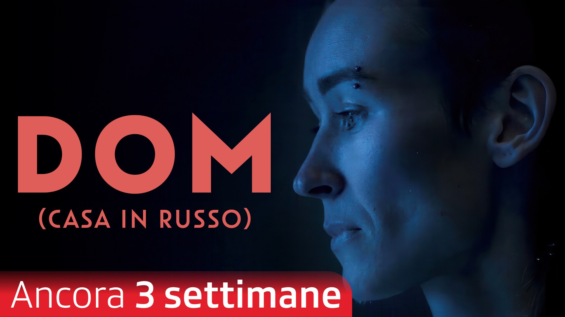 DOM (Casa in russo)