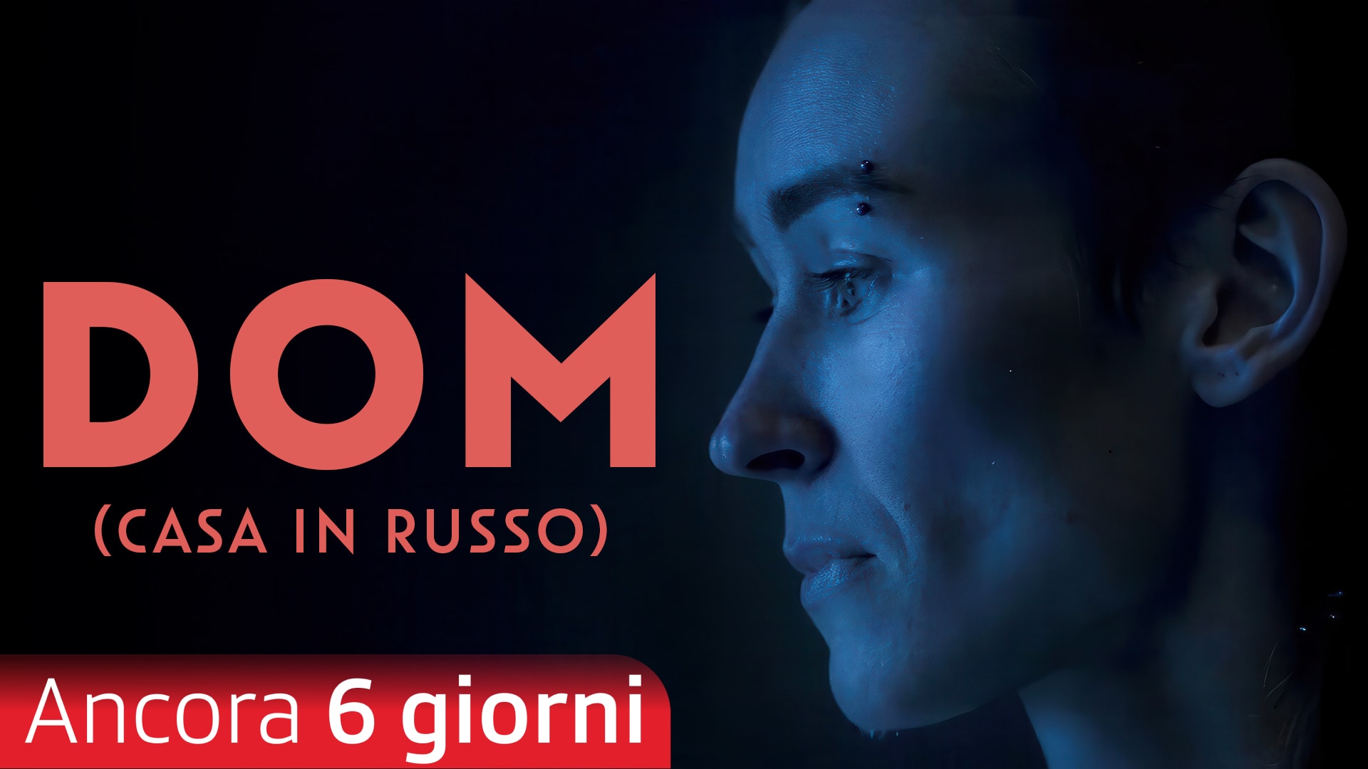 DOM (Casa in russo)