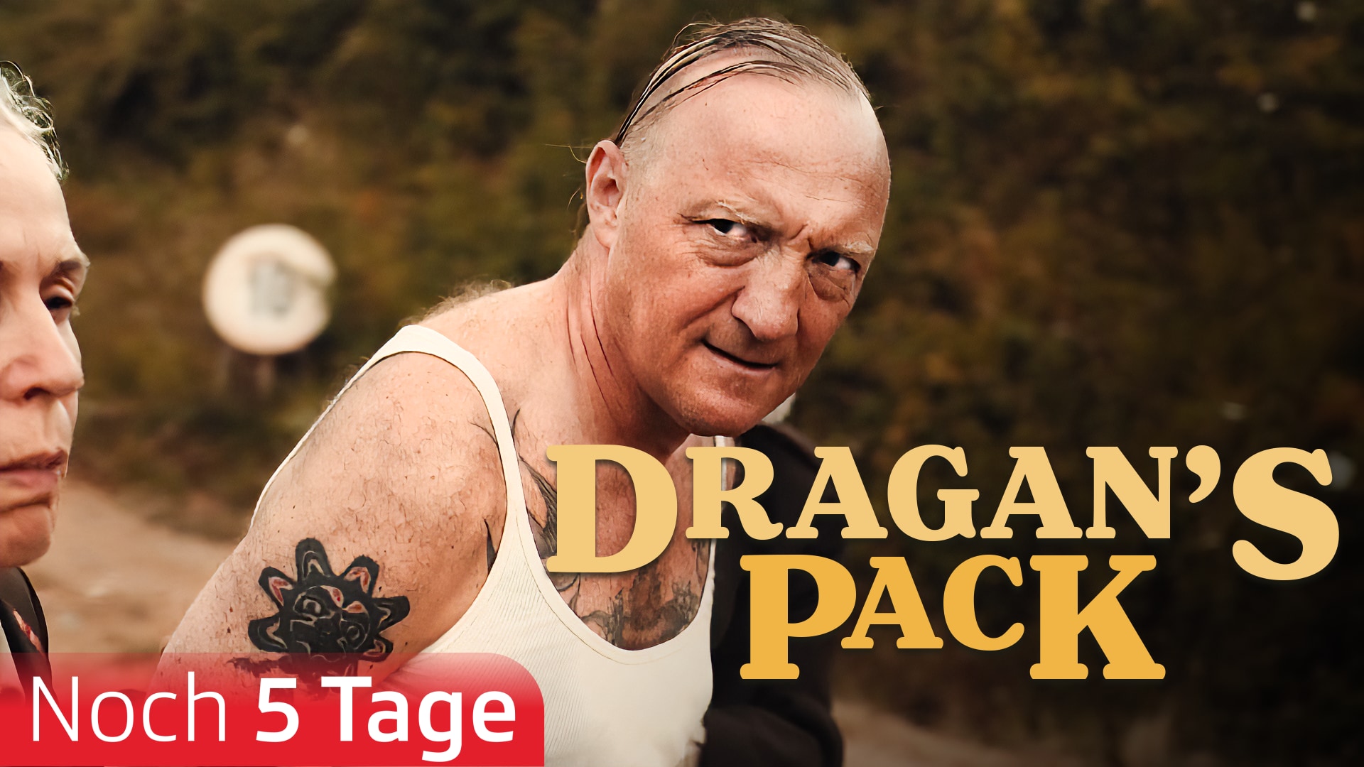 Dragan's Pack