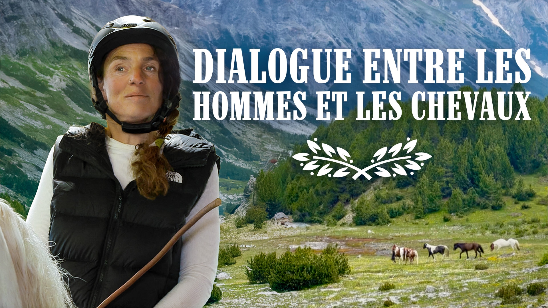 Dialogue entre les hommes et les chevaux