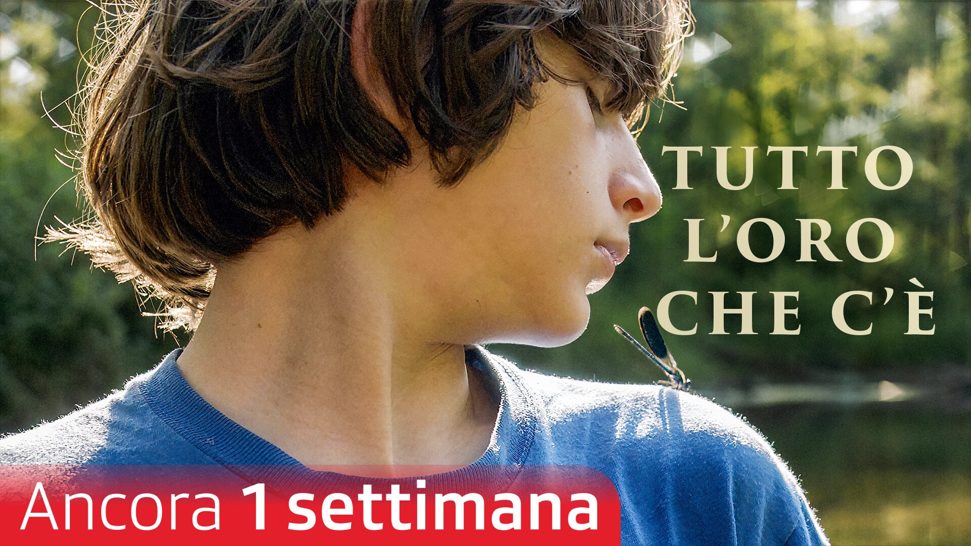 Tutto l'oro che c'è