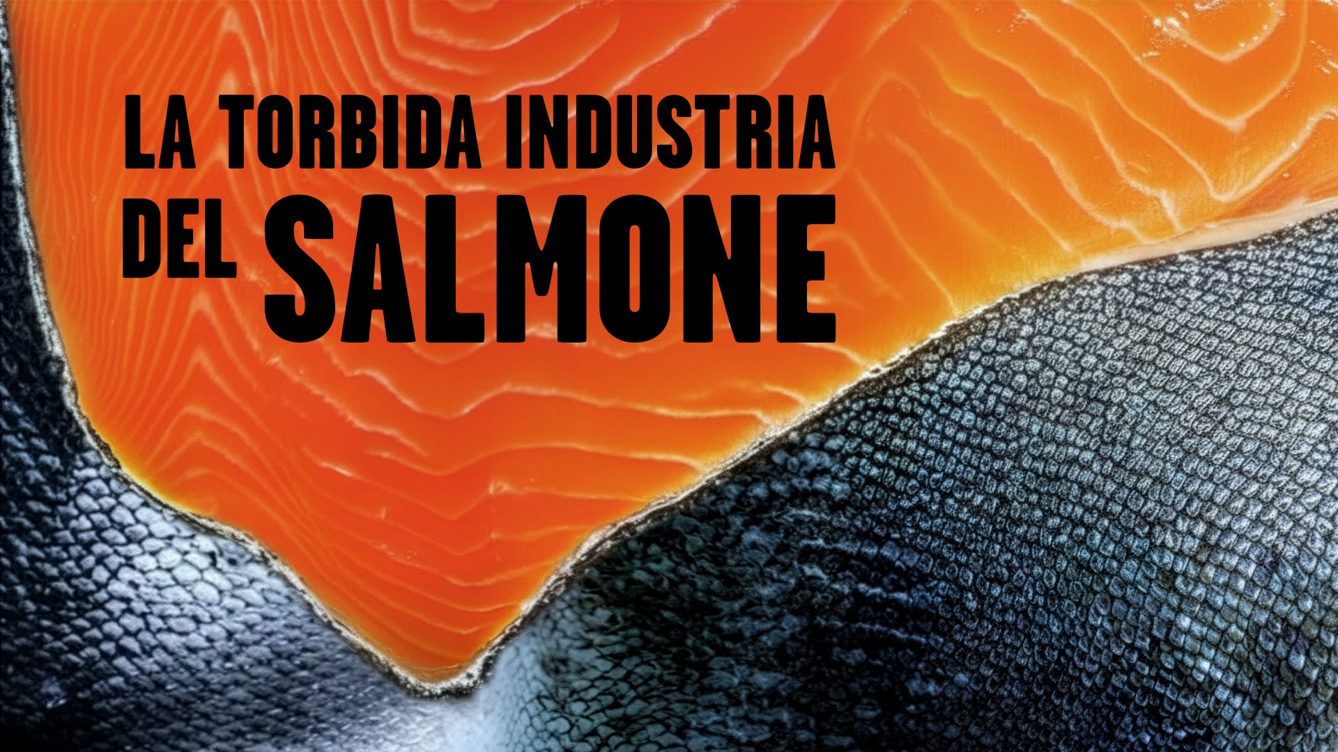 La torbida industria del salmone