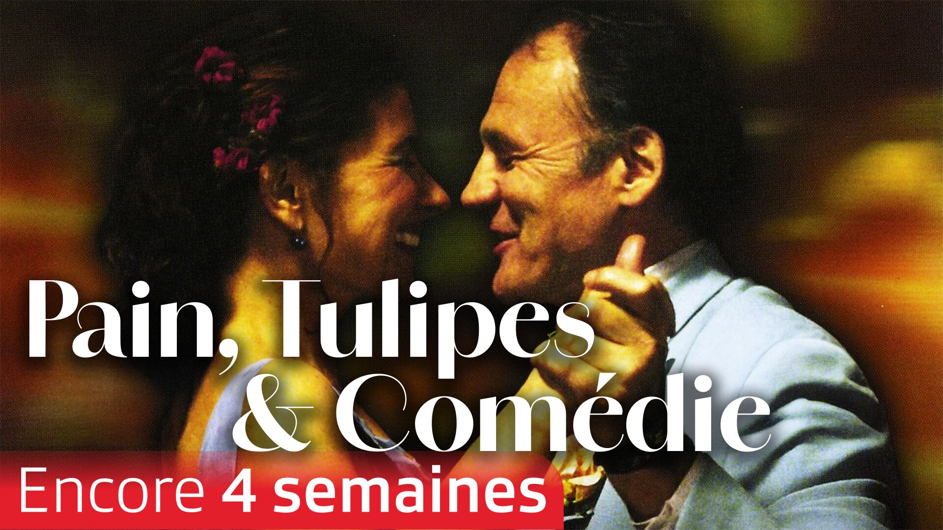 Pain, Tulipes et Comédie