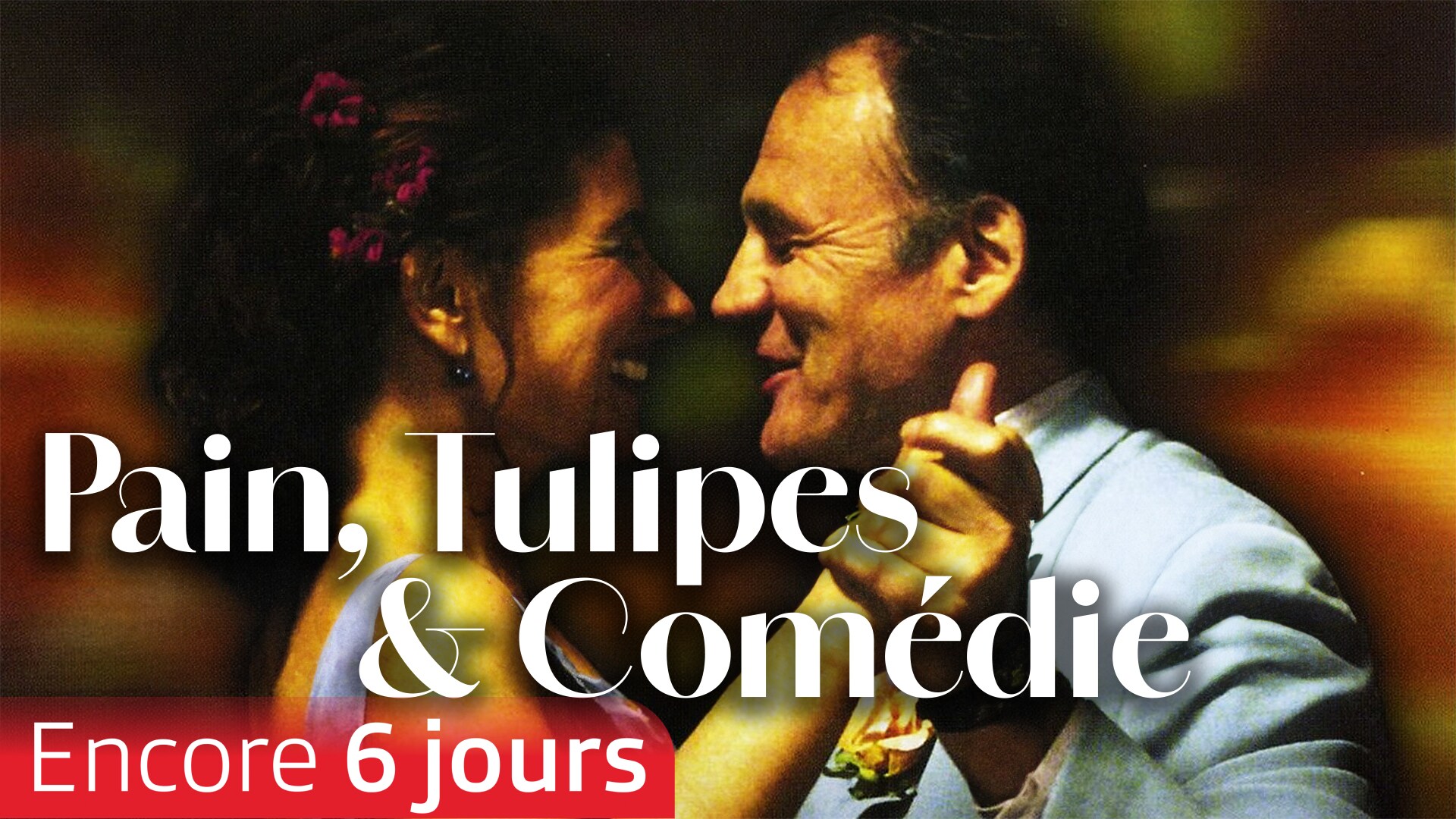 Pain, Tulipes et Comédie