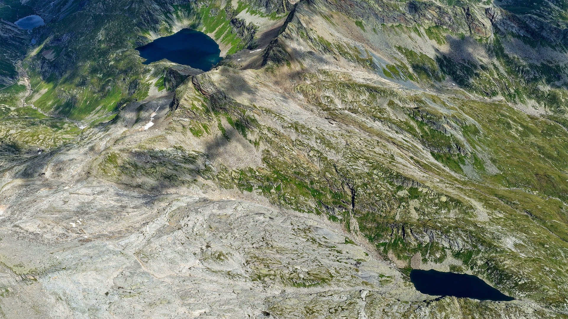 Bianco, Nero und Froda