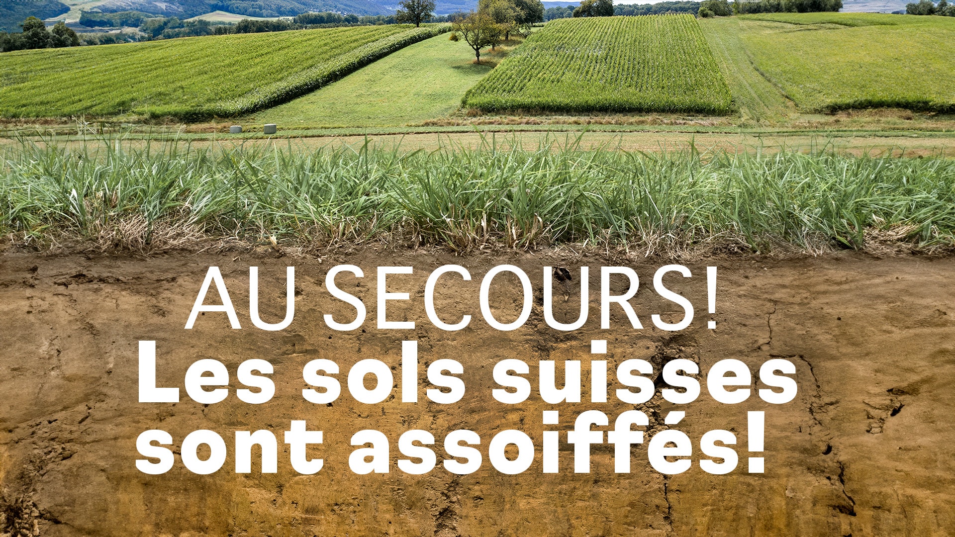 Au secours! Les sols suisses sont assoiffés!