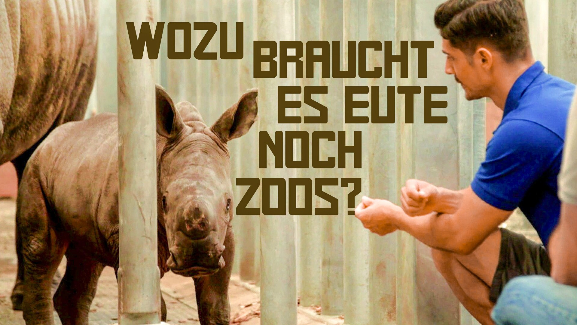 Wozu braucht es heute noch Zoos?