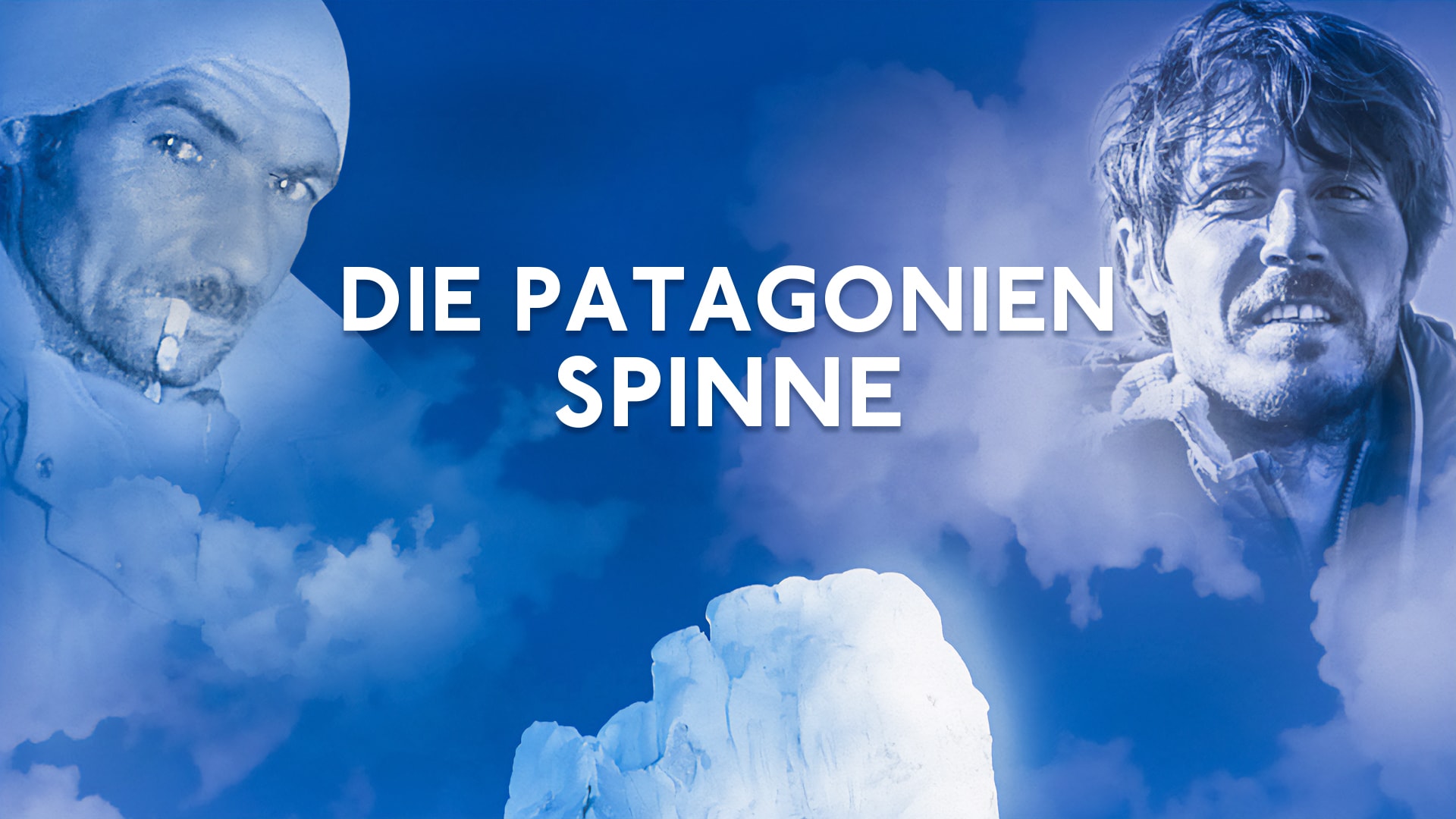 Die Patagonien Spinne